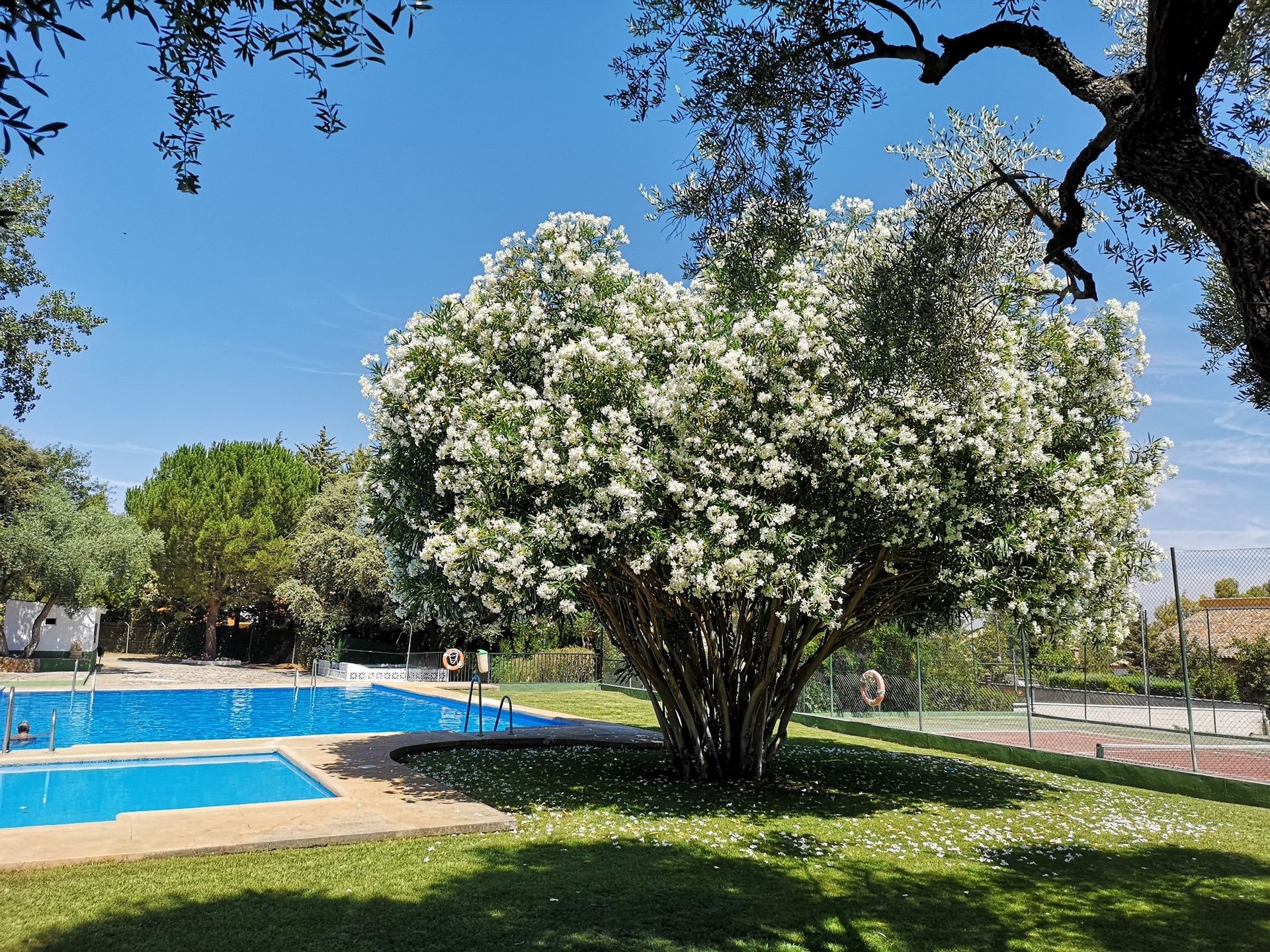 Talo sisään Ronda, Andalucía 11150298