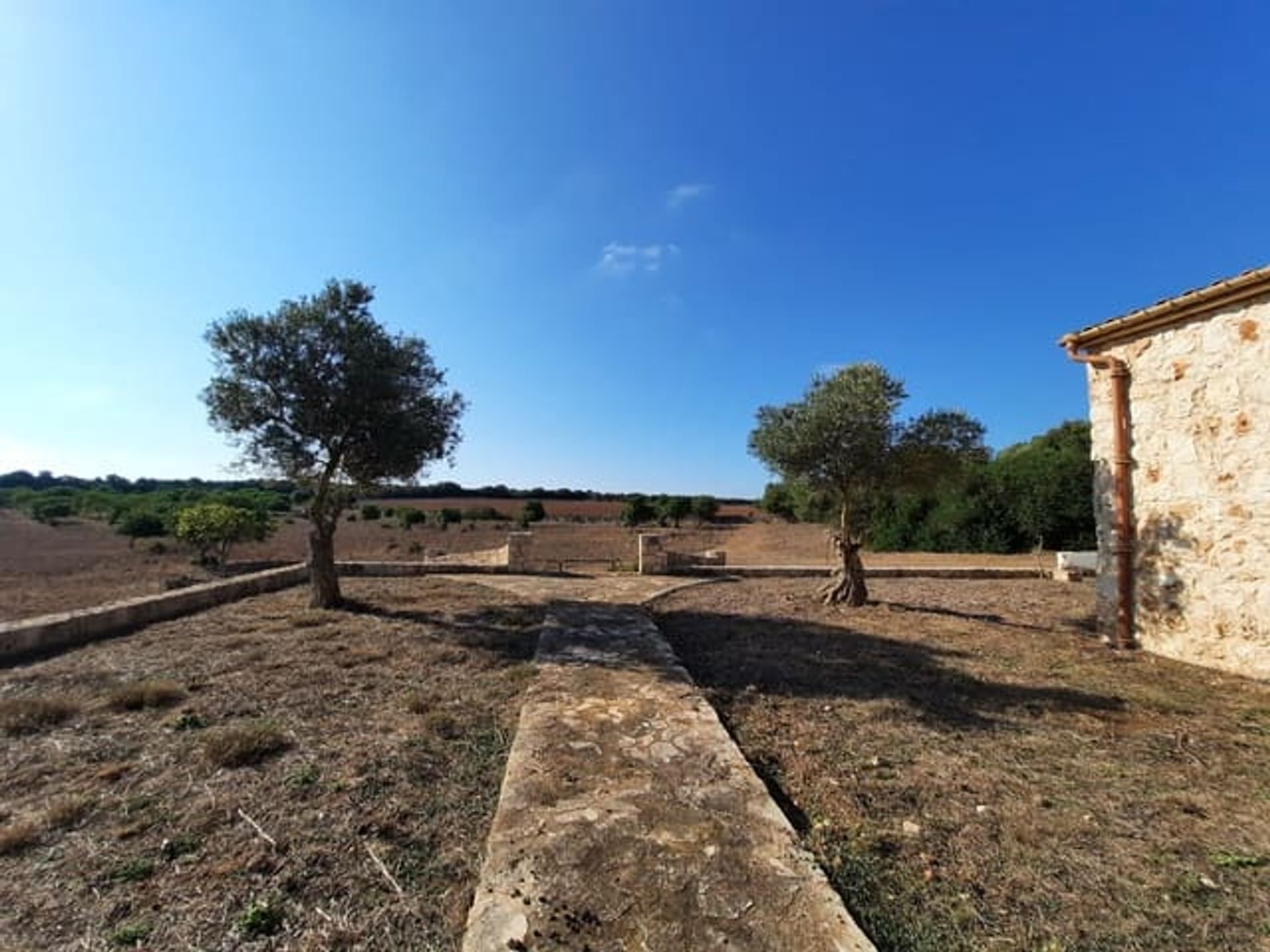 Земля в Santa Margalida, Illes Balears 11150936