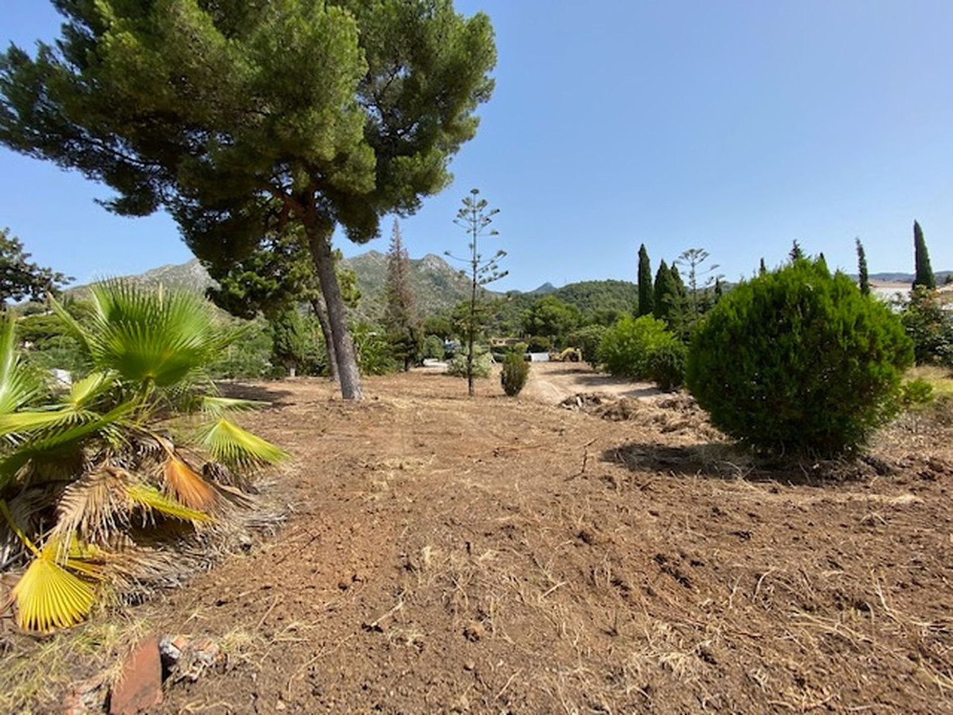 Terre dans Marbella, Andalousie 11150948