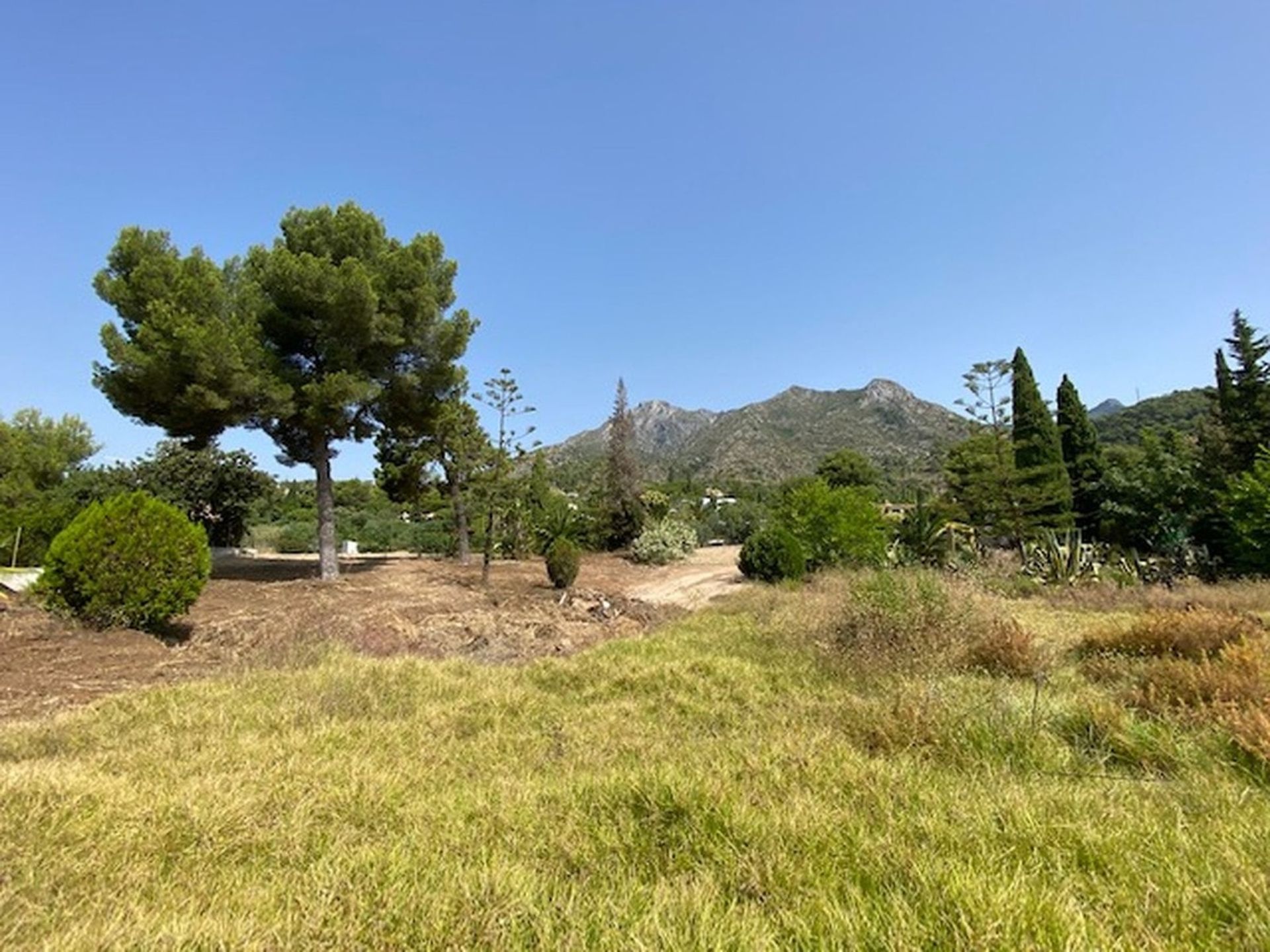 Land im Marbella, Andalusien 11150948