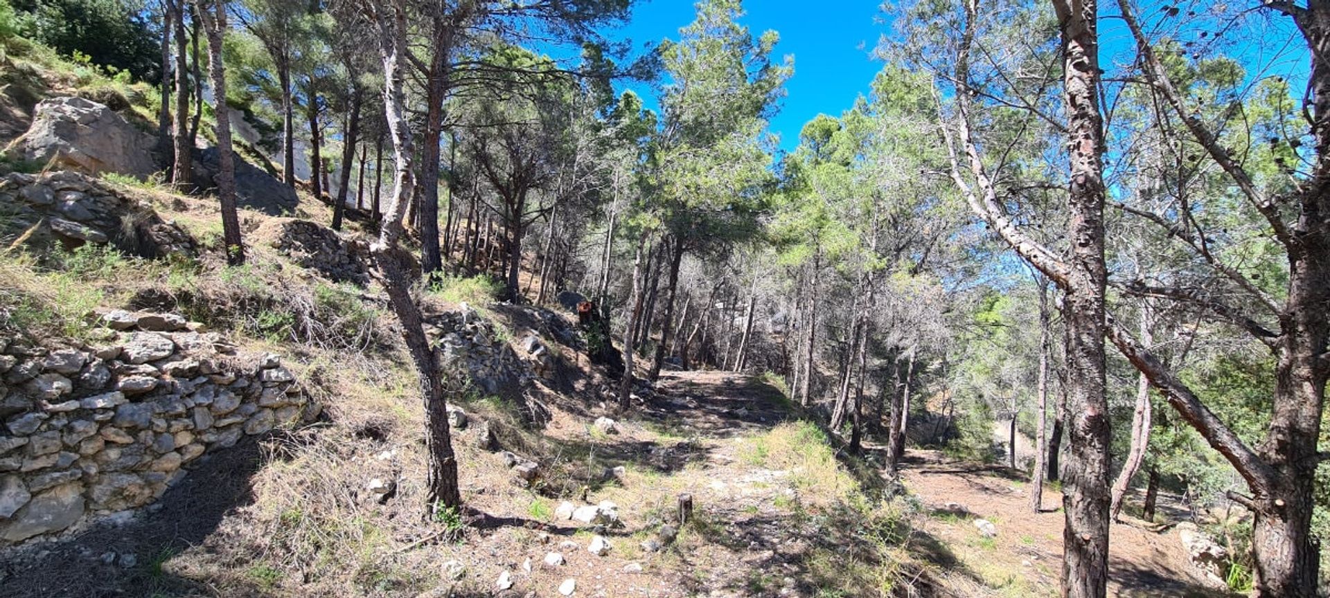 Земля в Calpe, Comunidad Valenciana 11151107