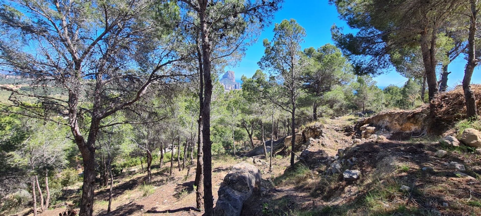 Земля в Calpe, Comunidad Valenciana 11151107