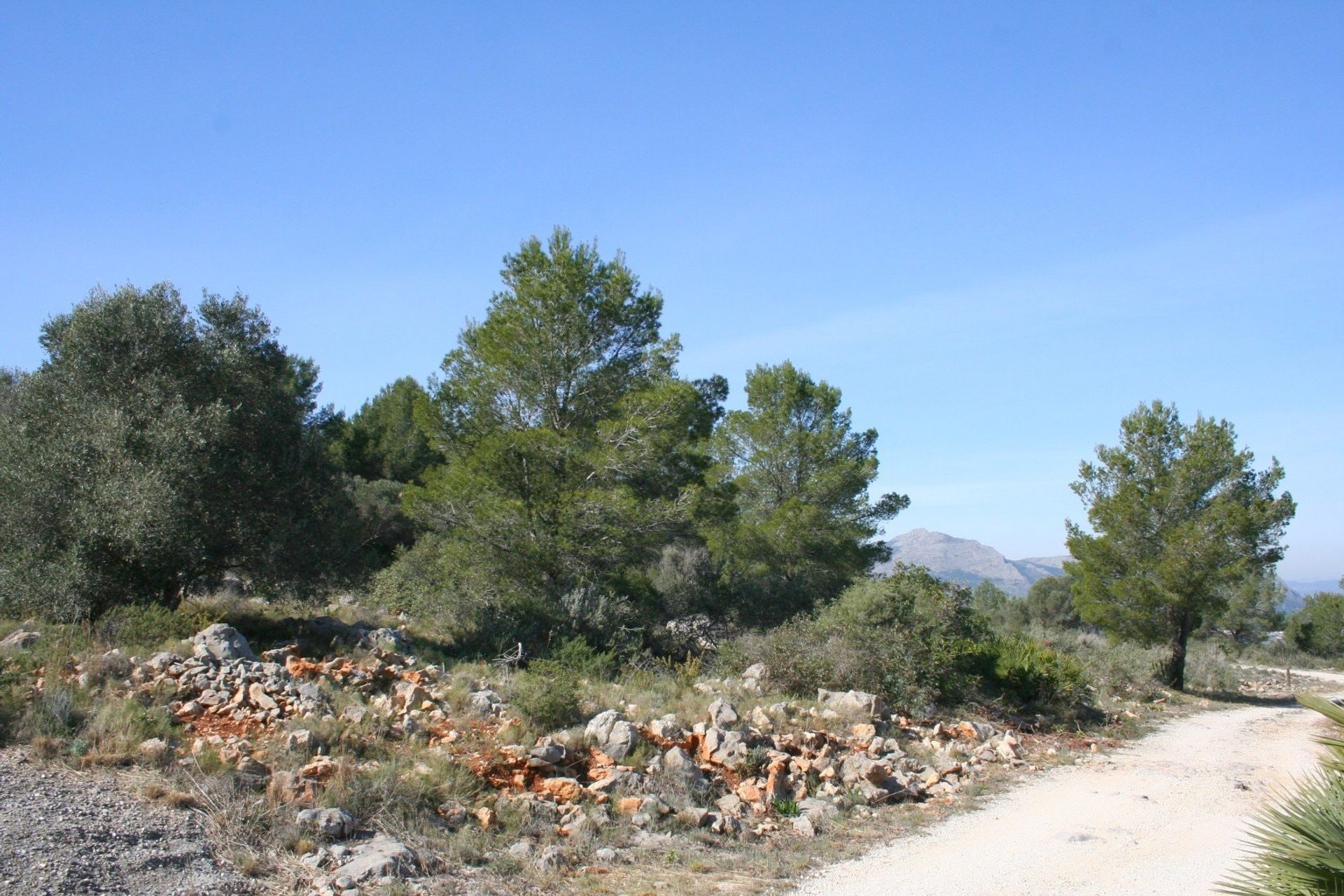 Tierra en , Comunidad Valenciana 11151161