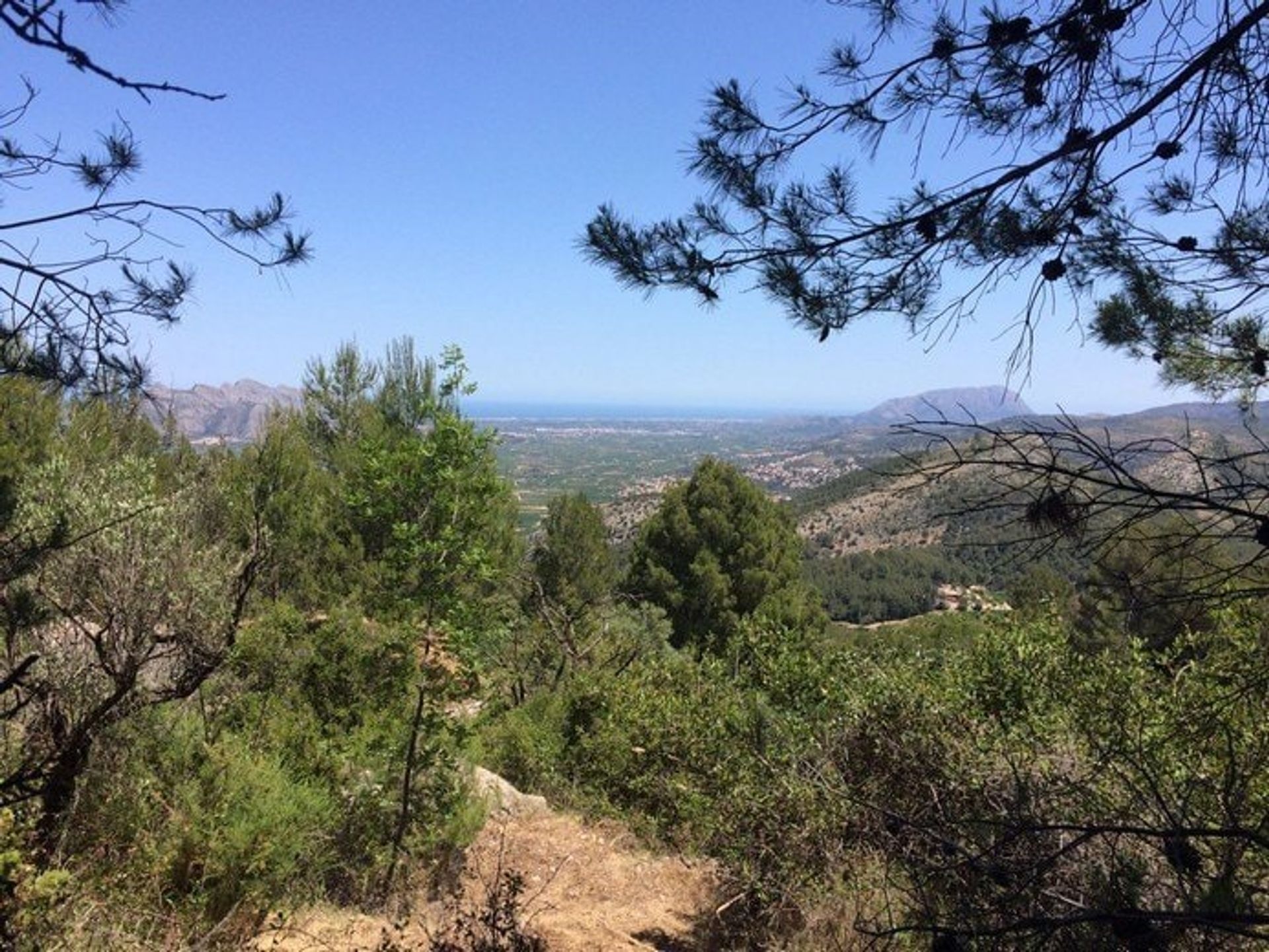 土地 在 Castell de Castells, Comunidad Valenciana 11151204