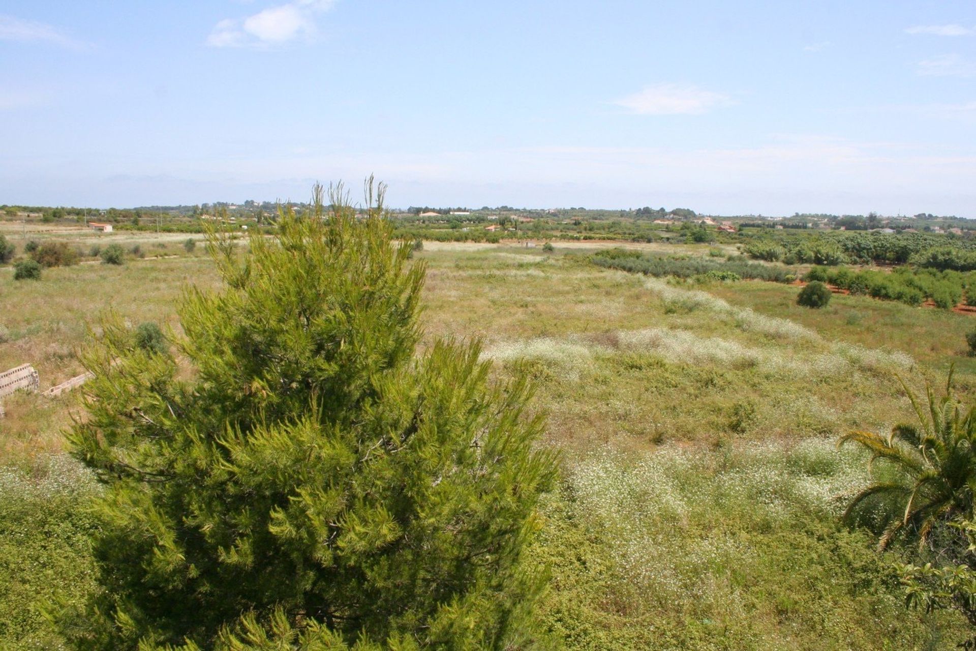 Industriel dans Pedreguer, Comunidad Valenciana 11151236