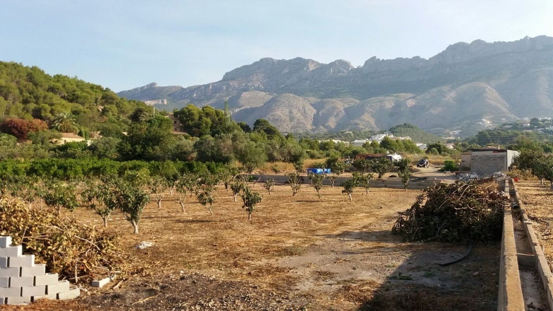 Jord i Altea la Vieja, Valencia 11151764