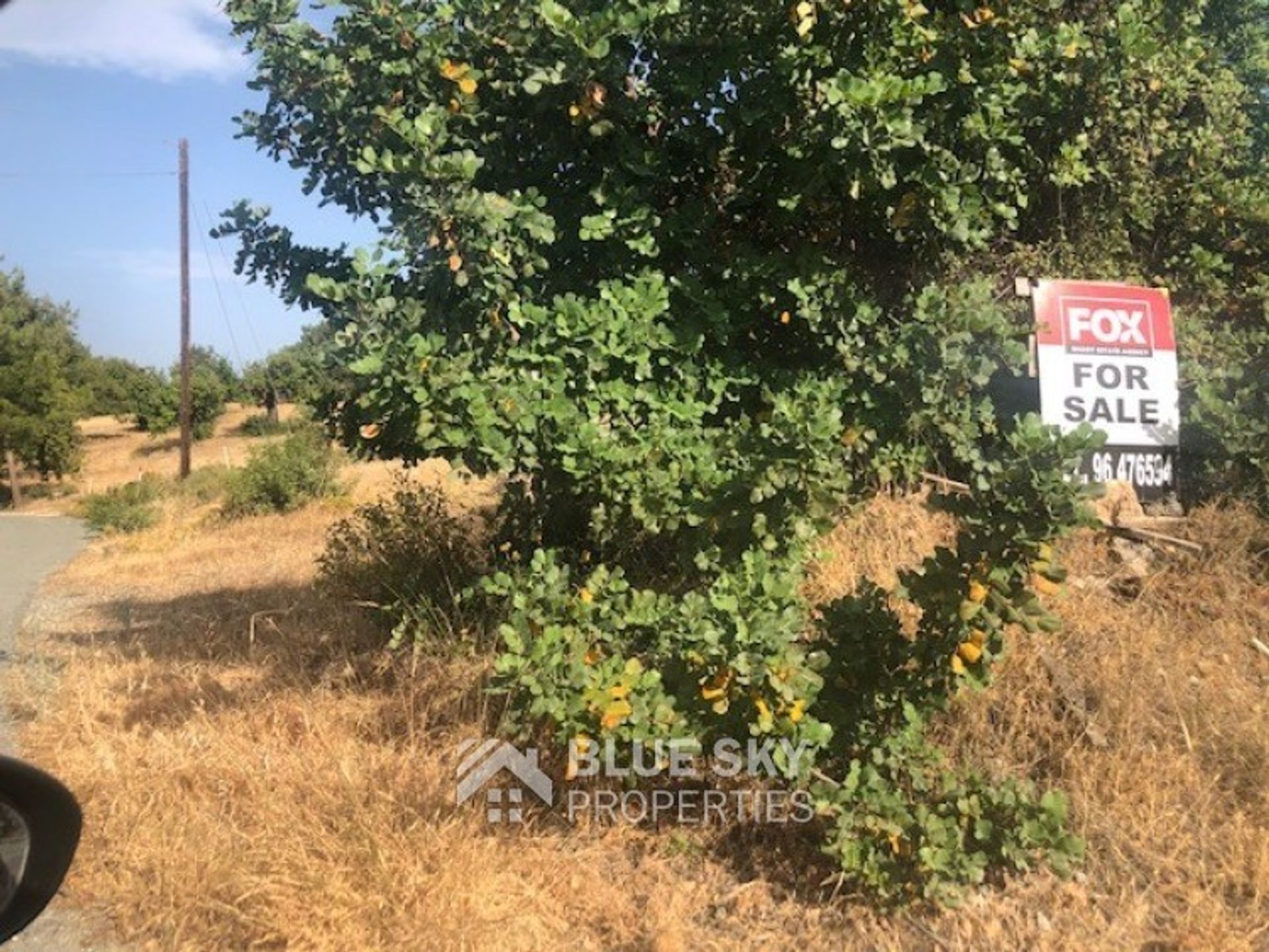 Land in Mathikoloni, Limassol 11152533