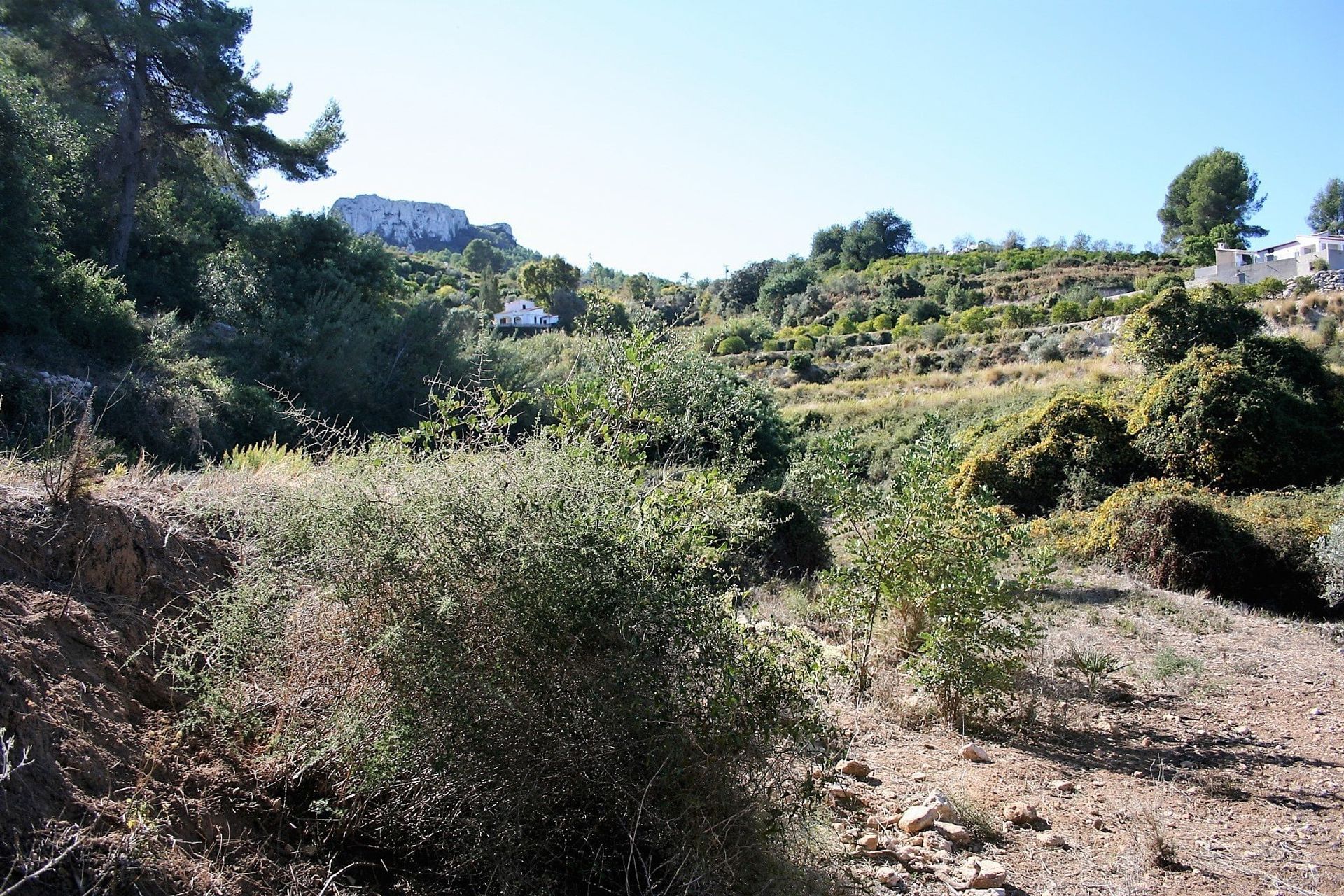 Terre dans Ráfol de Almunia, Comunidad Valenciana 11152935