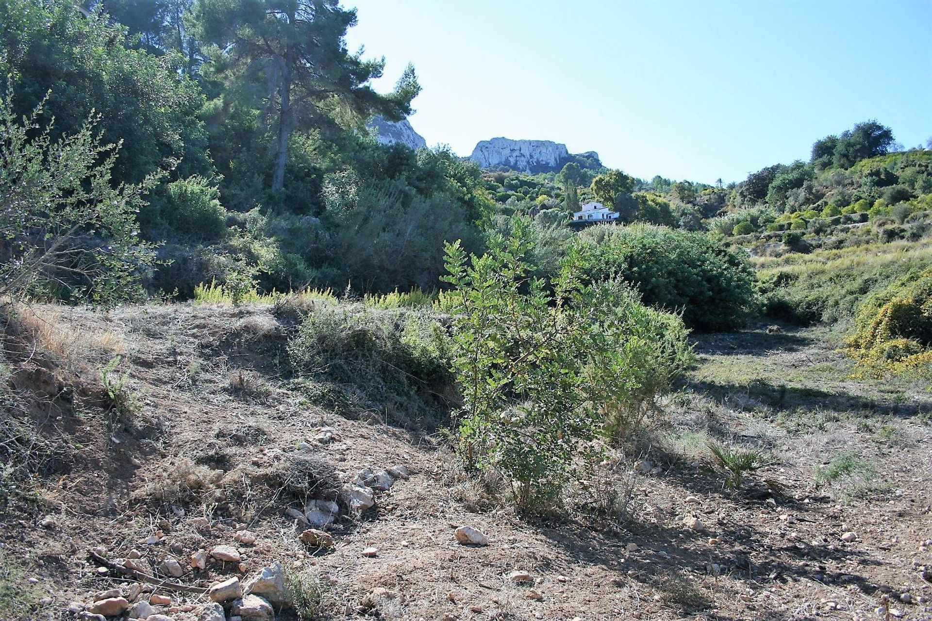 Terre dans Ráfol de Almunia, Comunidad Valenciana 11152935