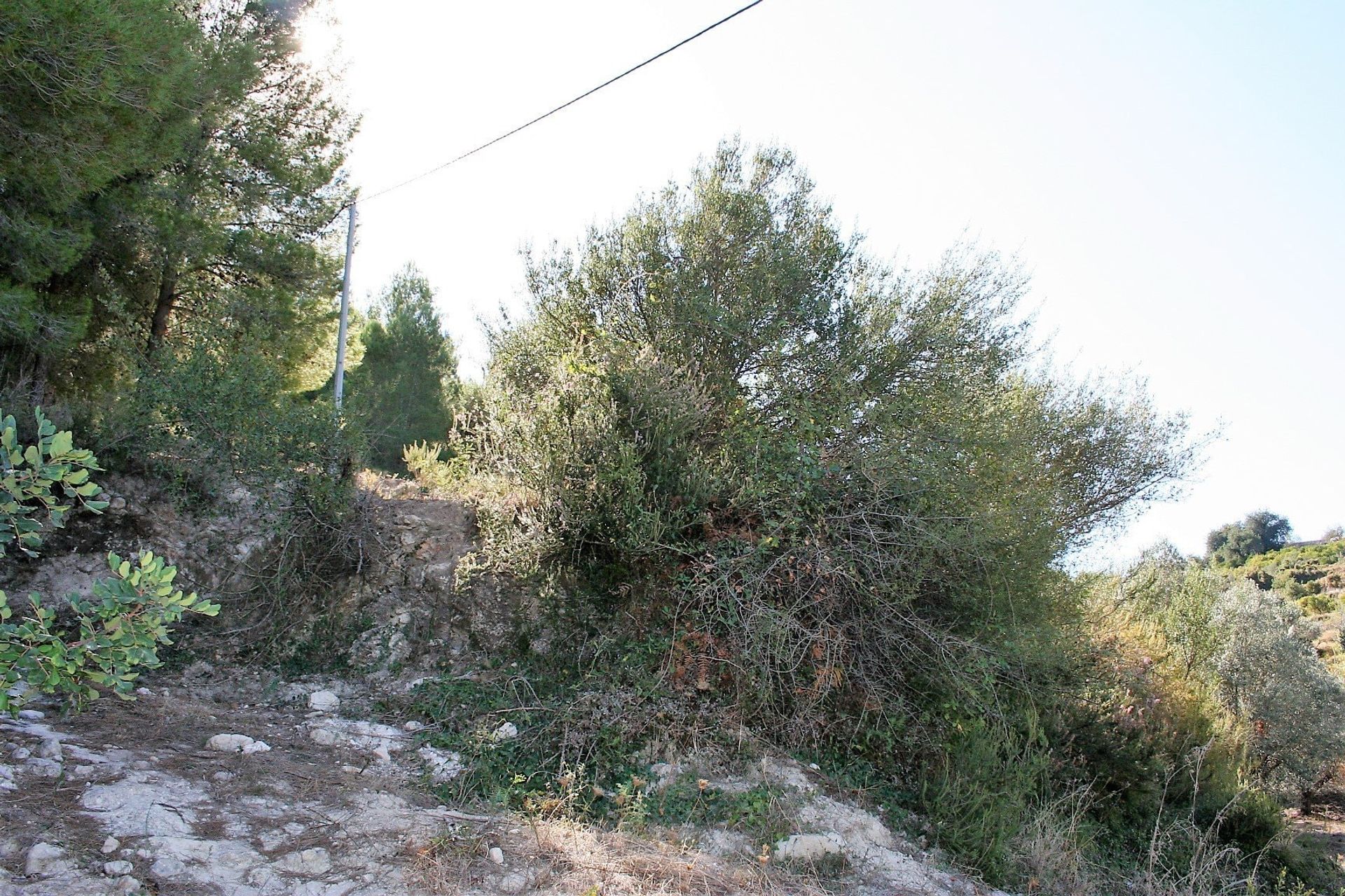 Terre dans Ráfol de Almunia, Comunidad Valenciana 11152935