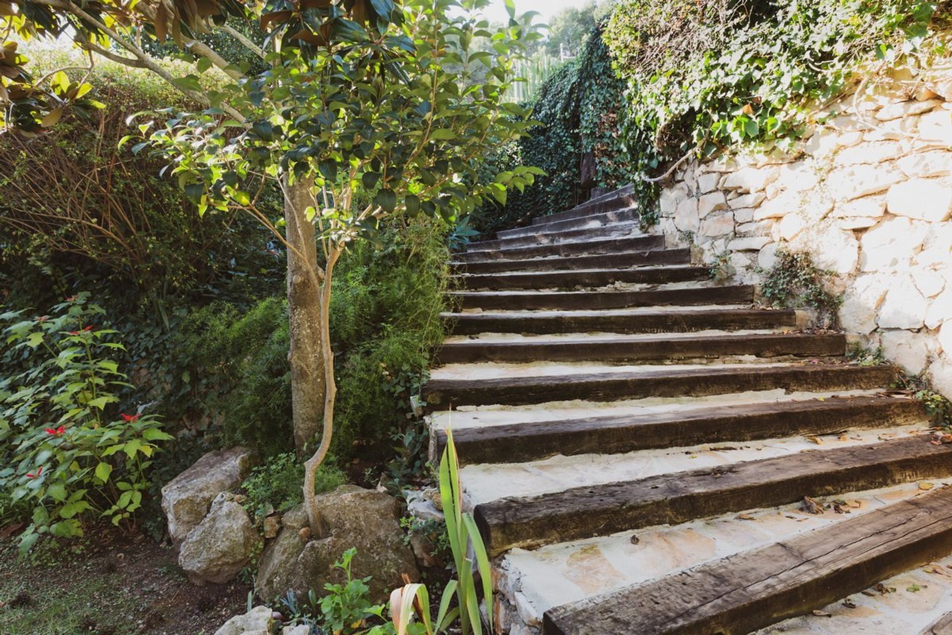 Hus i Jávea, Comunidad Valenciana 11153048