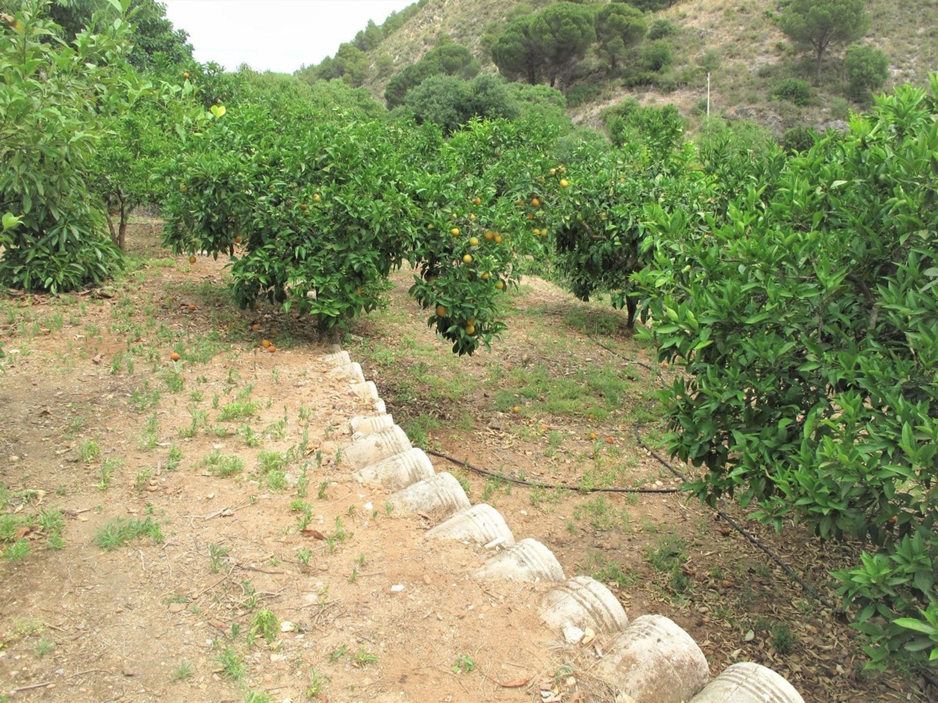 жилой дом в Monda, Andalucía 11153127