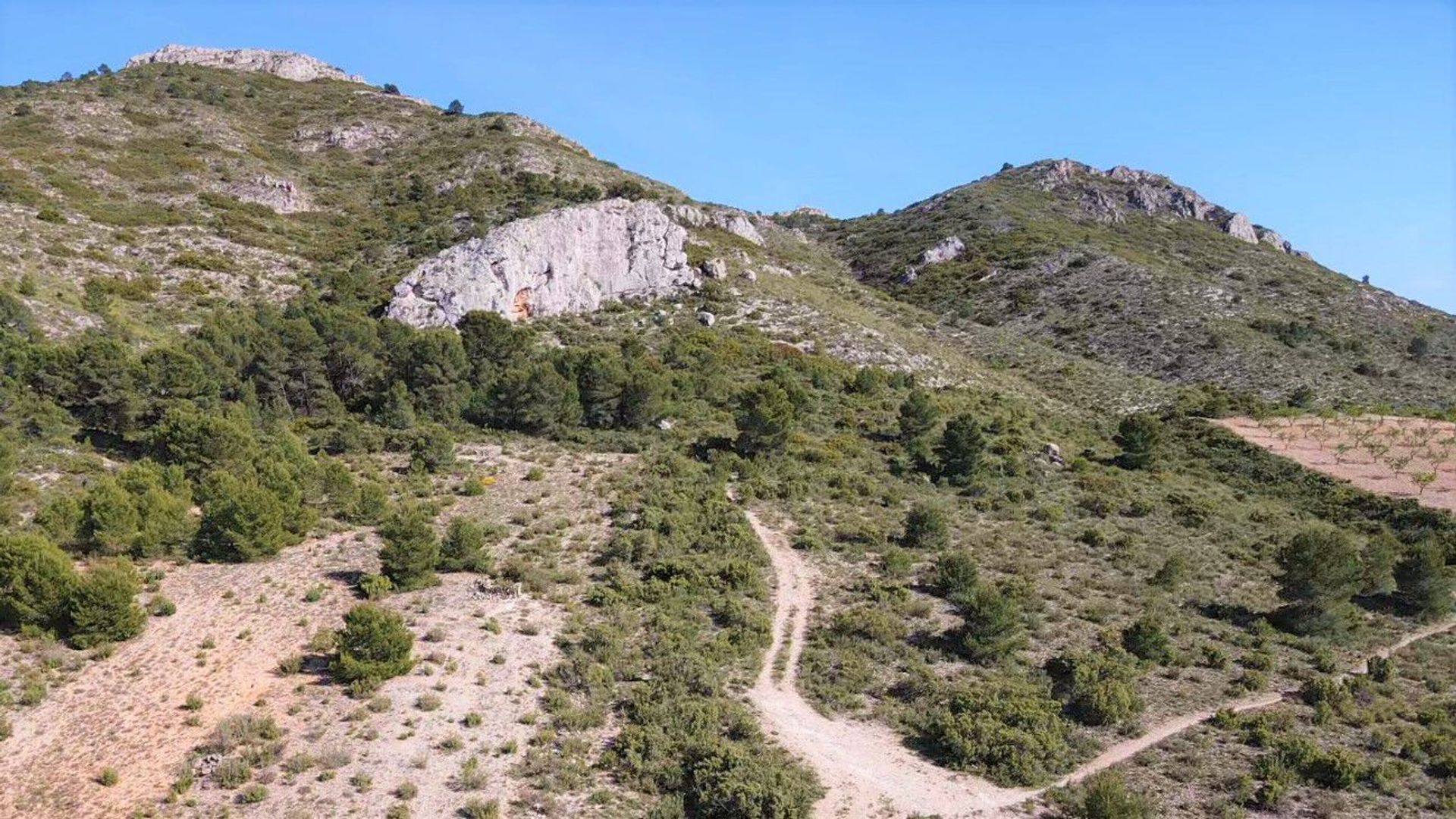 casa en Yecla, Región de Murcia 11153226