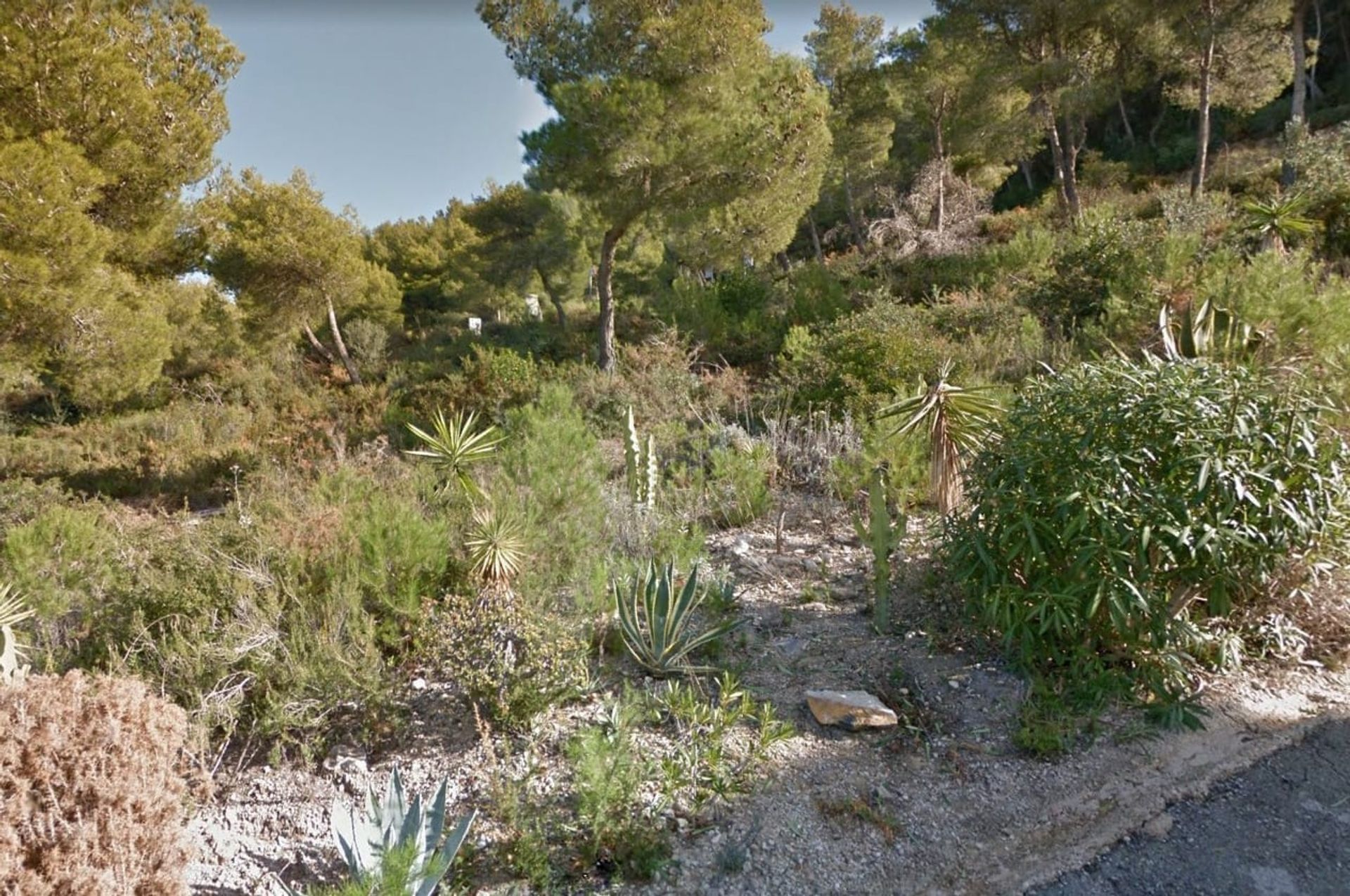 Land in Javea, Valencia 11153379