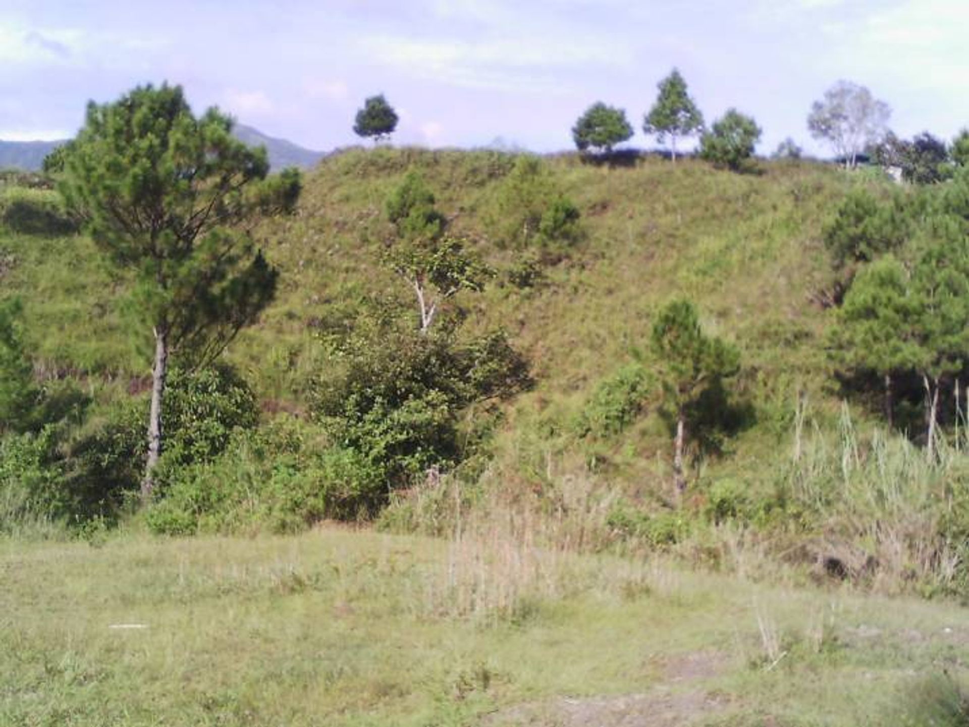 Tanah di Baguio, Cordillera Administrative Region 11153867