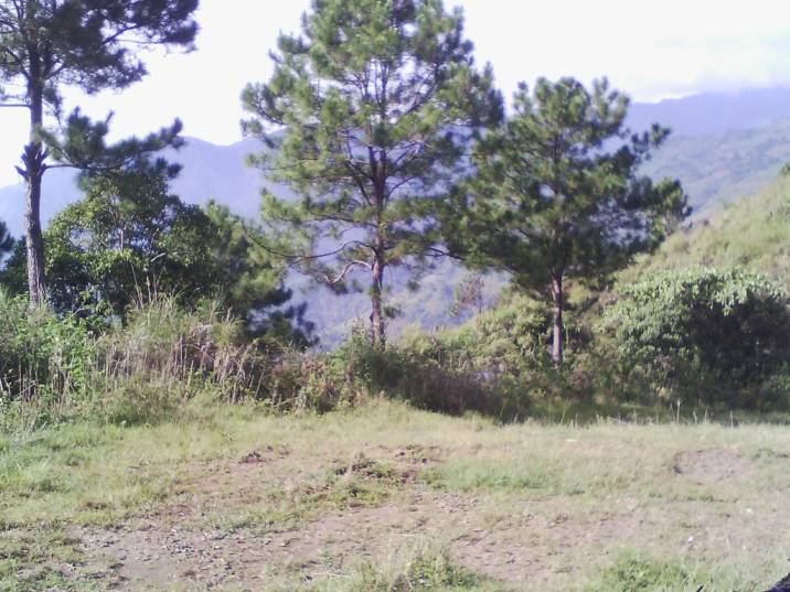 Jord i Camp Seven, Baguio 11153867
