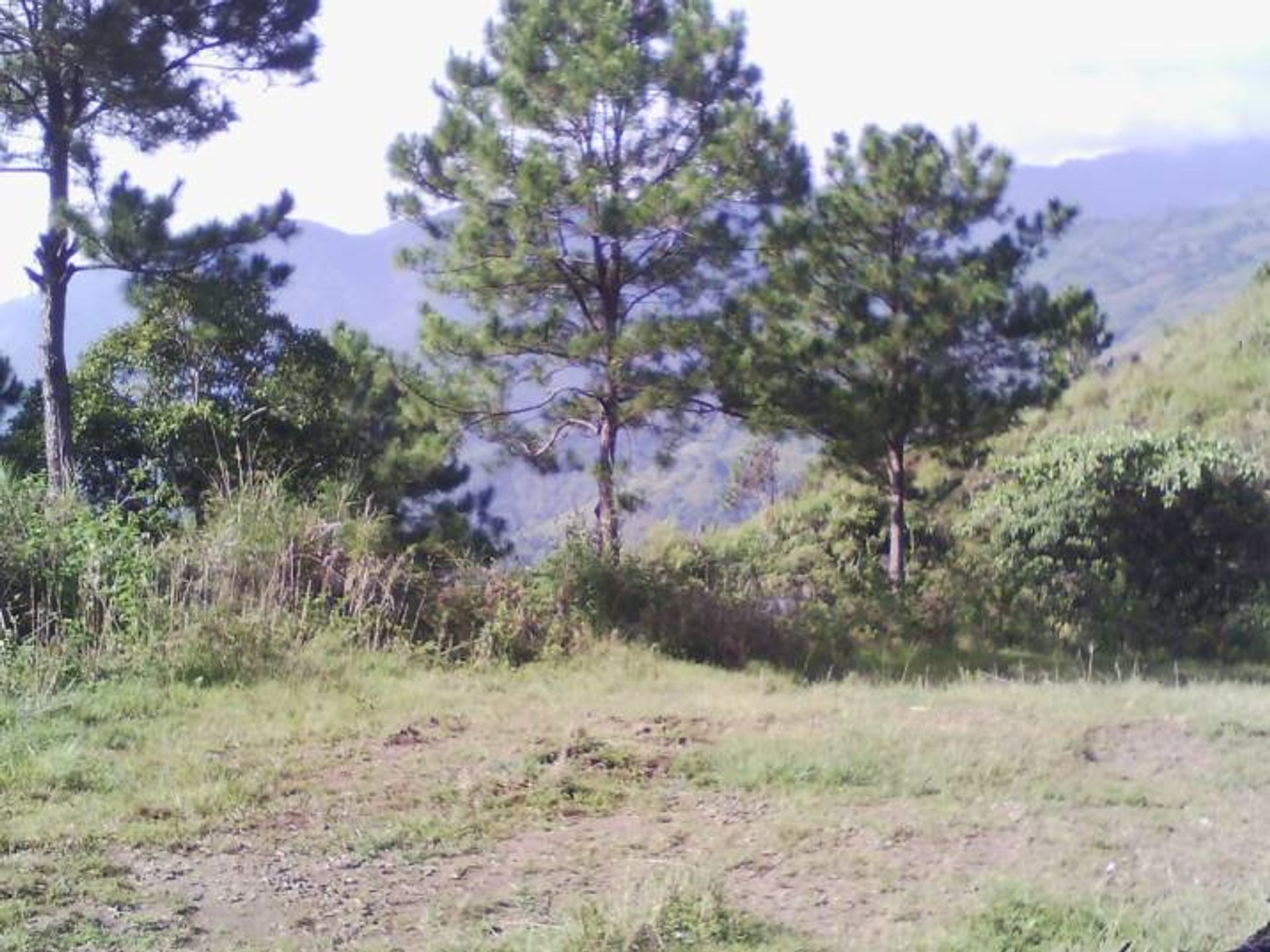 Tanah di Baguio, Cordillera Administrative Region 11153867