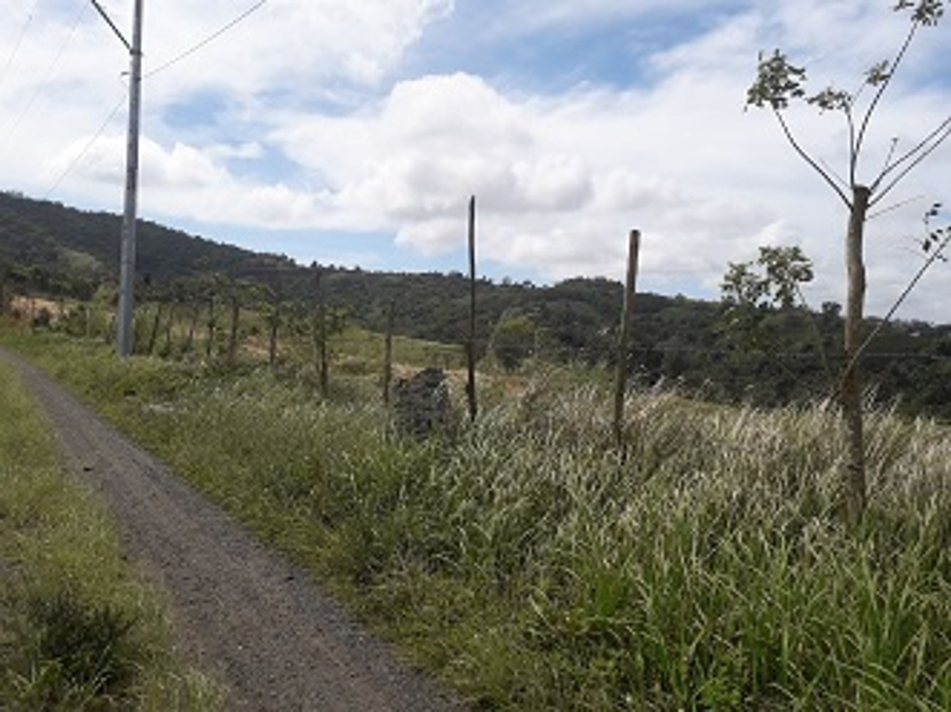 Maa sisään Tagaytay, Calabarzon 11153981