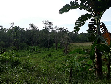 Tierra en San Vicente, Palawan 11154094