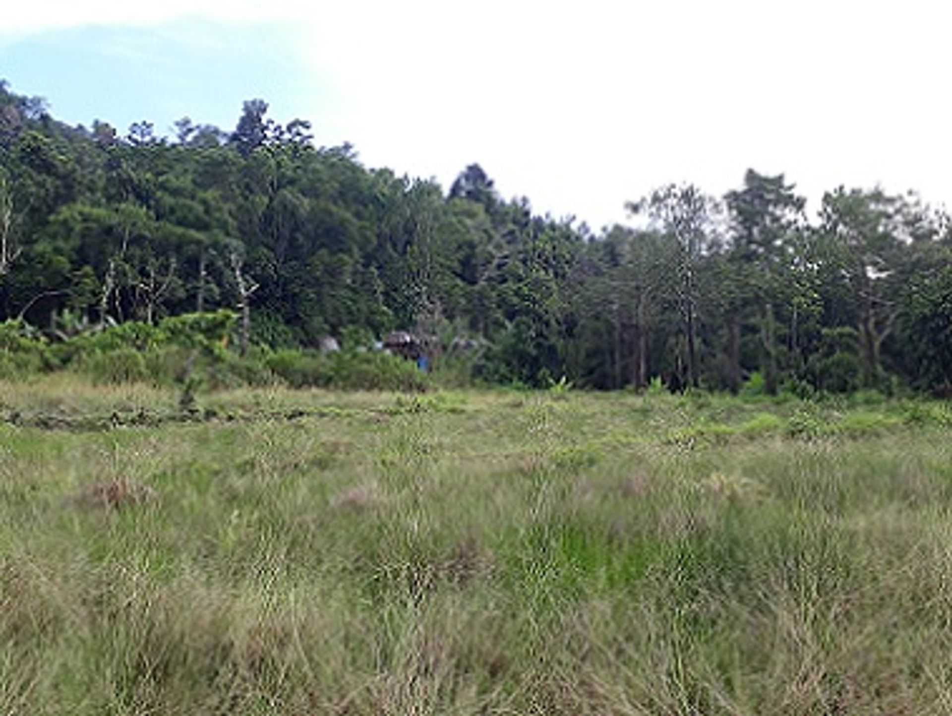 Land in San Vicente, Palawan 11154094