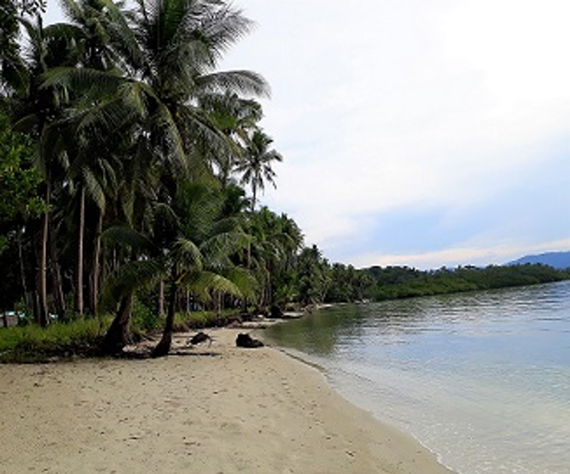 Land in San Vicente, Palawan 11154094