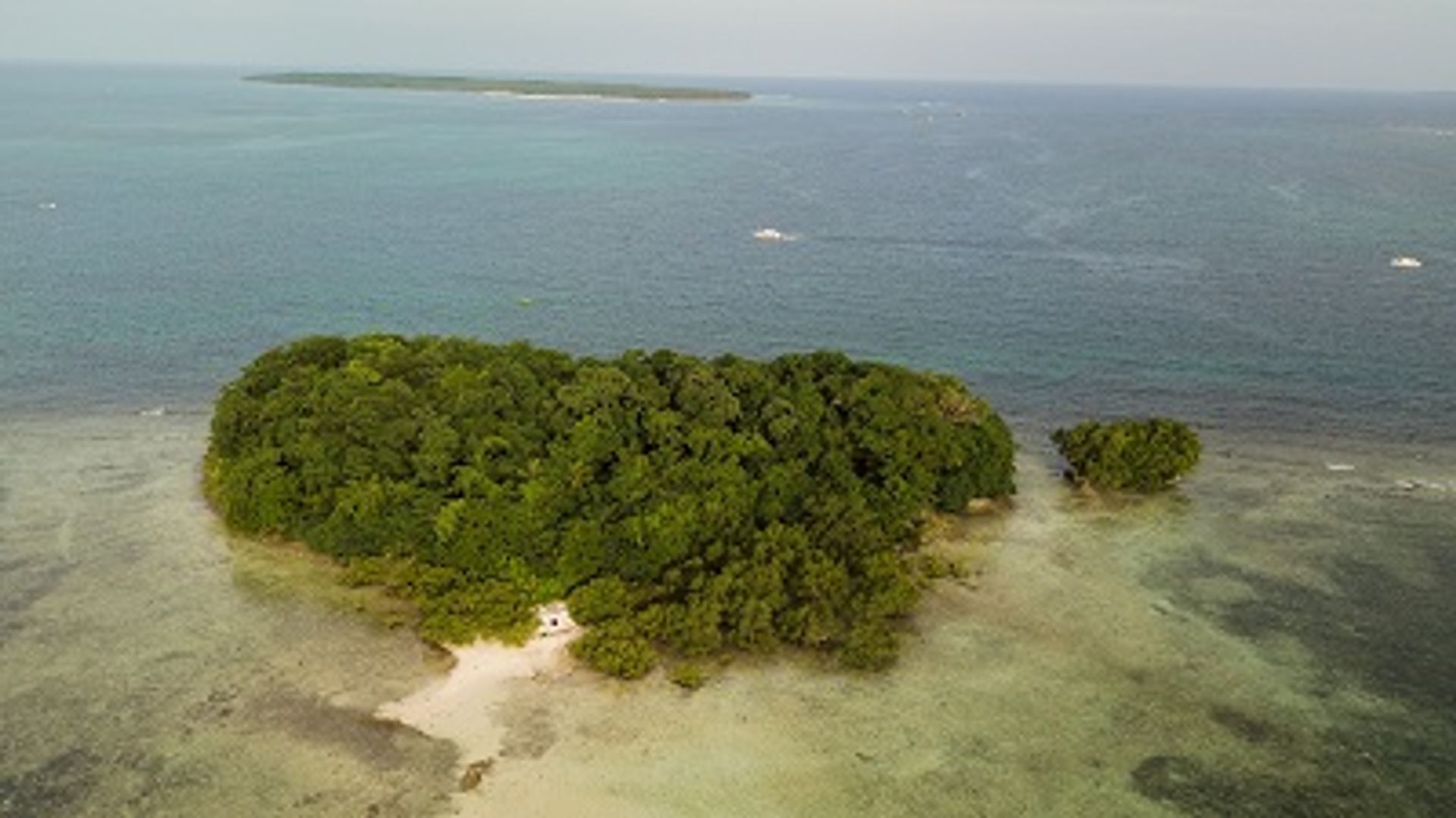 Tanah dalam Kesatuan, Surigao del Norte 11154095