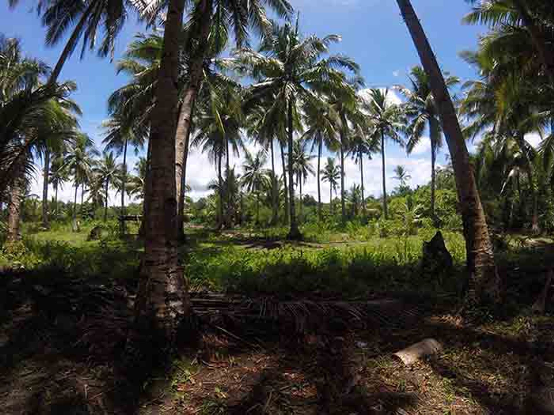 Tanah dalam Kesatuan, Surigao del Norte 11154096