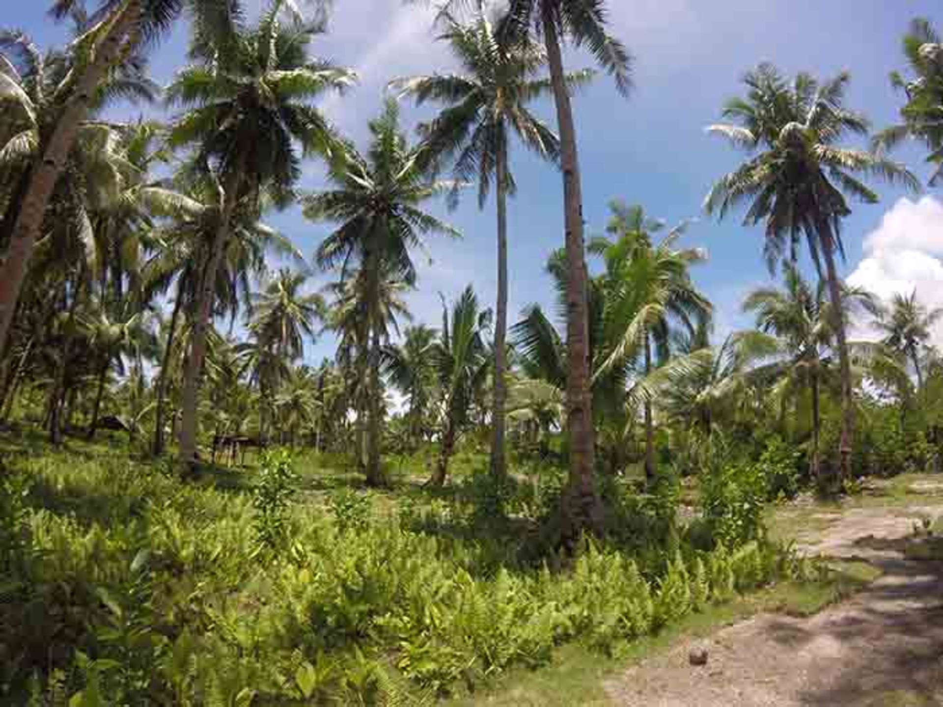 Land im Union, Surigao del Norte 11154096