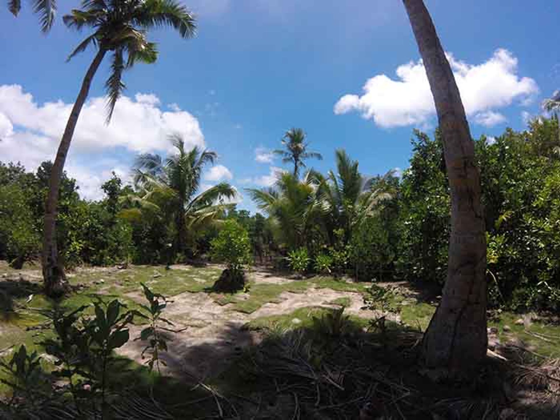 Tanah dalam Kesatuan, Surigao del Norte 11154096