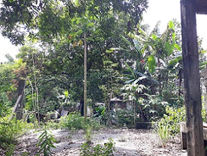 Land in Quitanpuil, Pampanga 11154340
