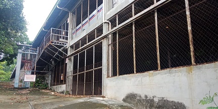 House in Mandaue City, Central Visayas 11154376