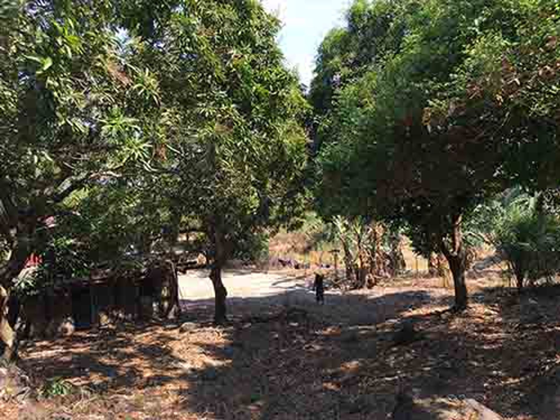 Land in Bonducan, Batanga's 11154381