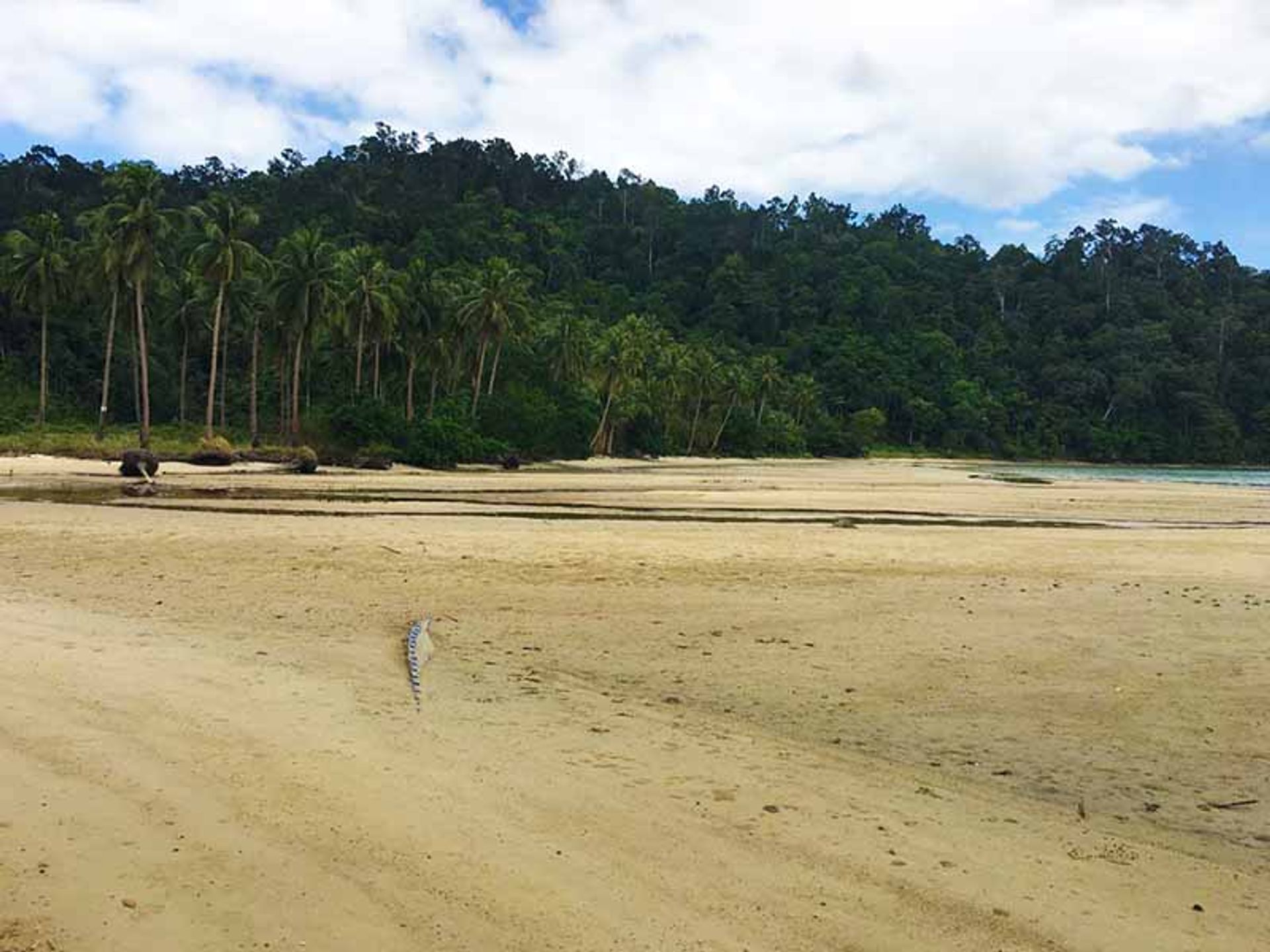 Tanah dalam Tulariquin, Palawan 11154457