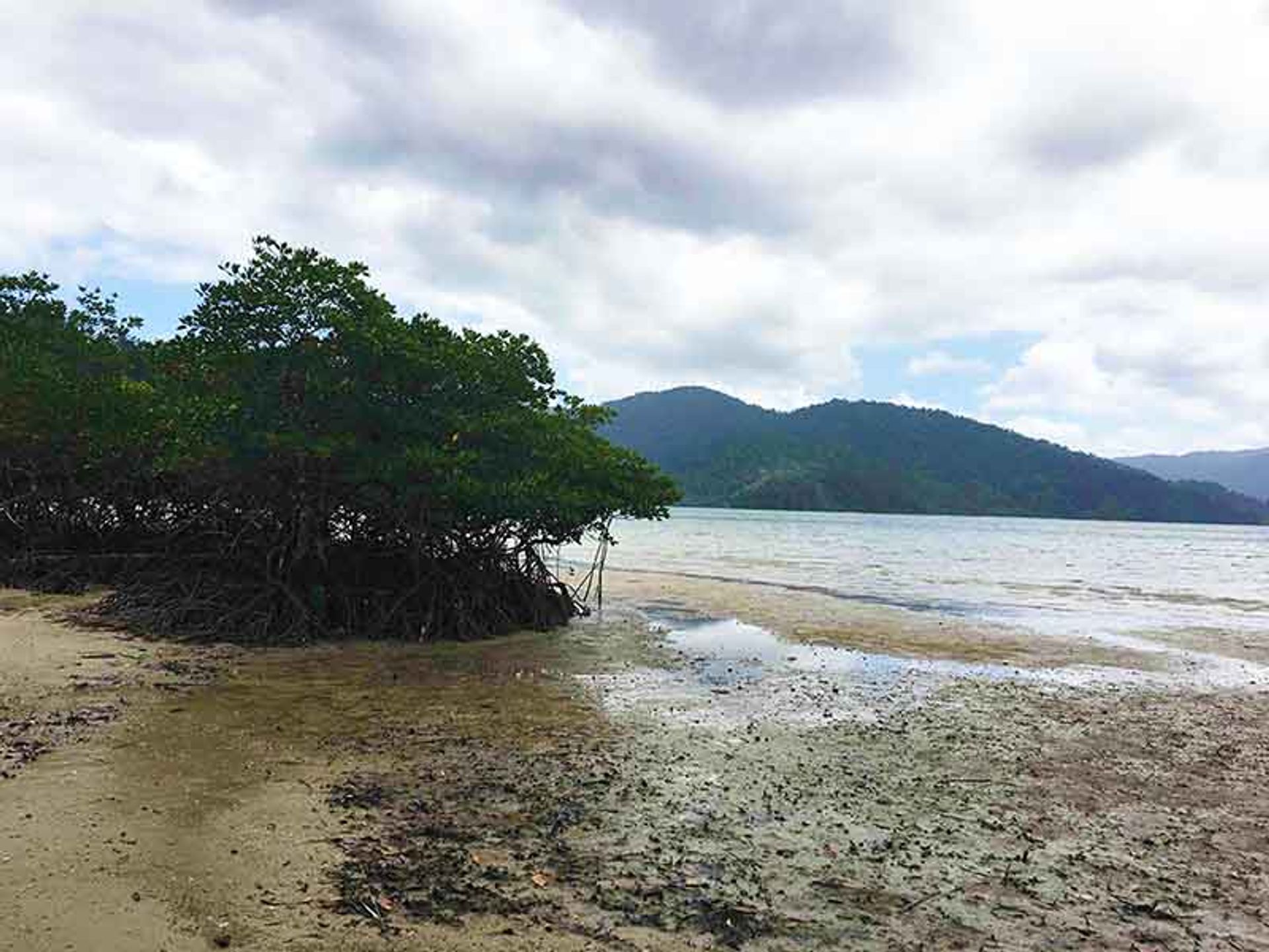 Tierra en tulariquín, Palawan 11154457