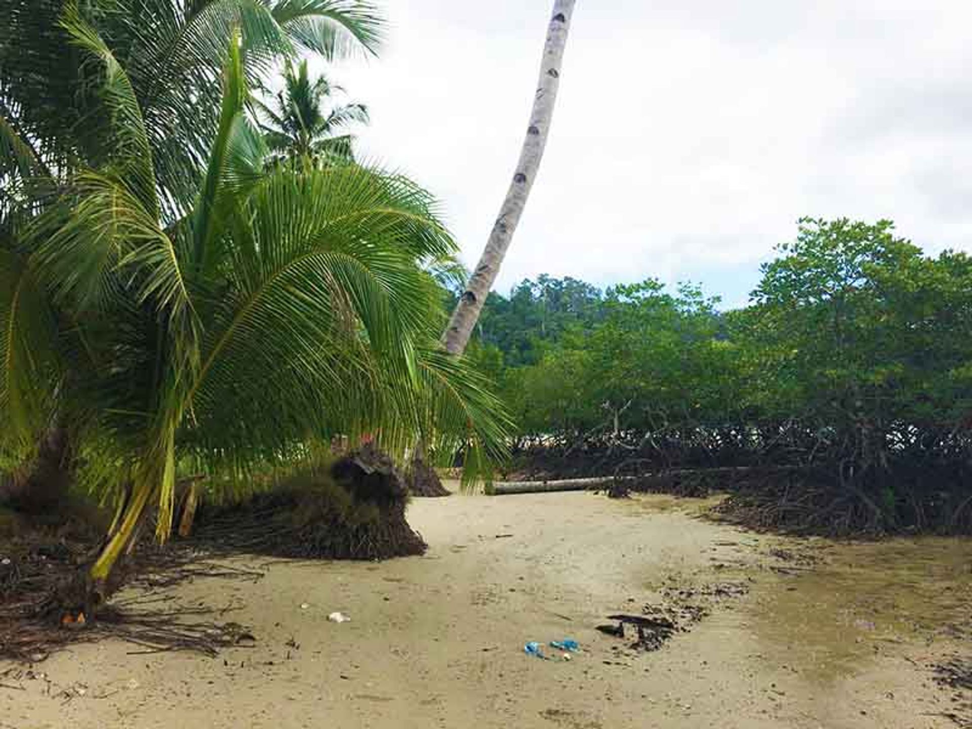 Tanah dalam Tulariquin, Palawan 11154457