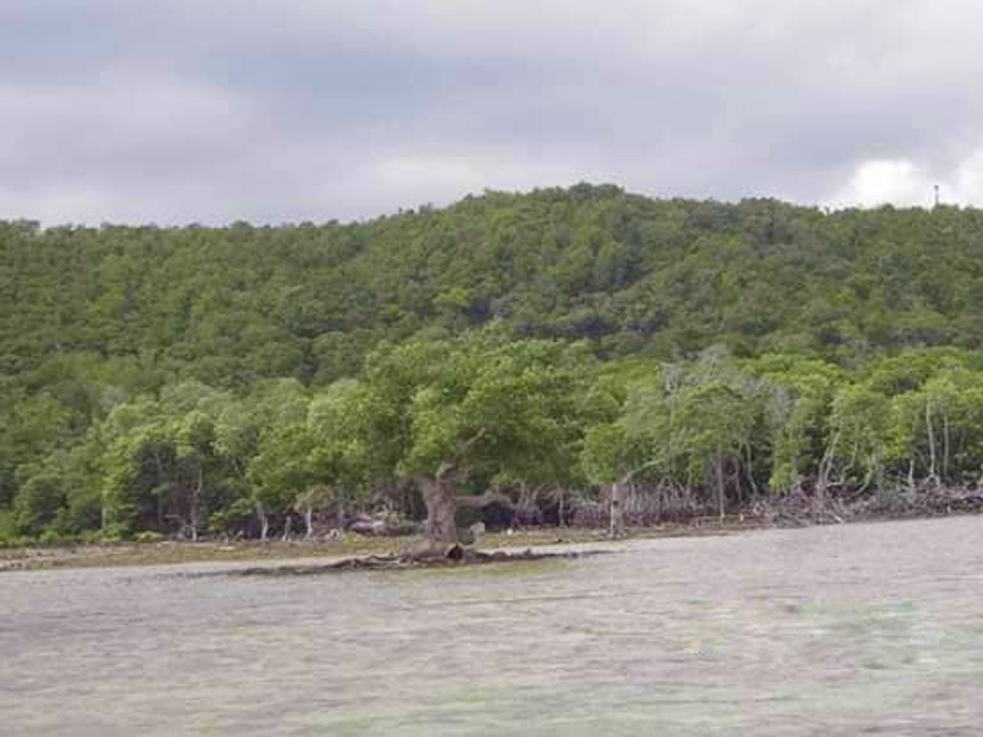 Tierra en Taradungán, Palawan 11154491