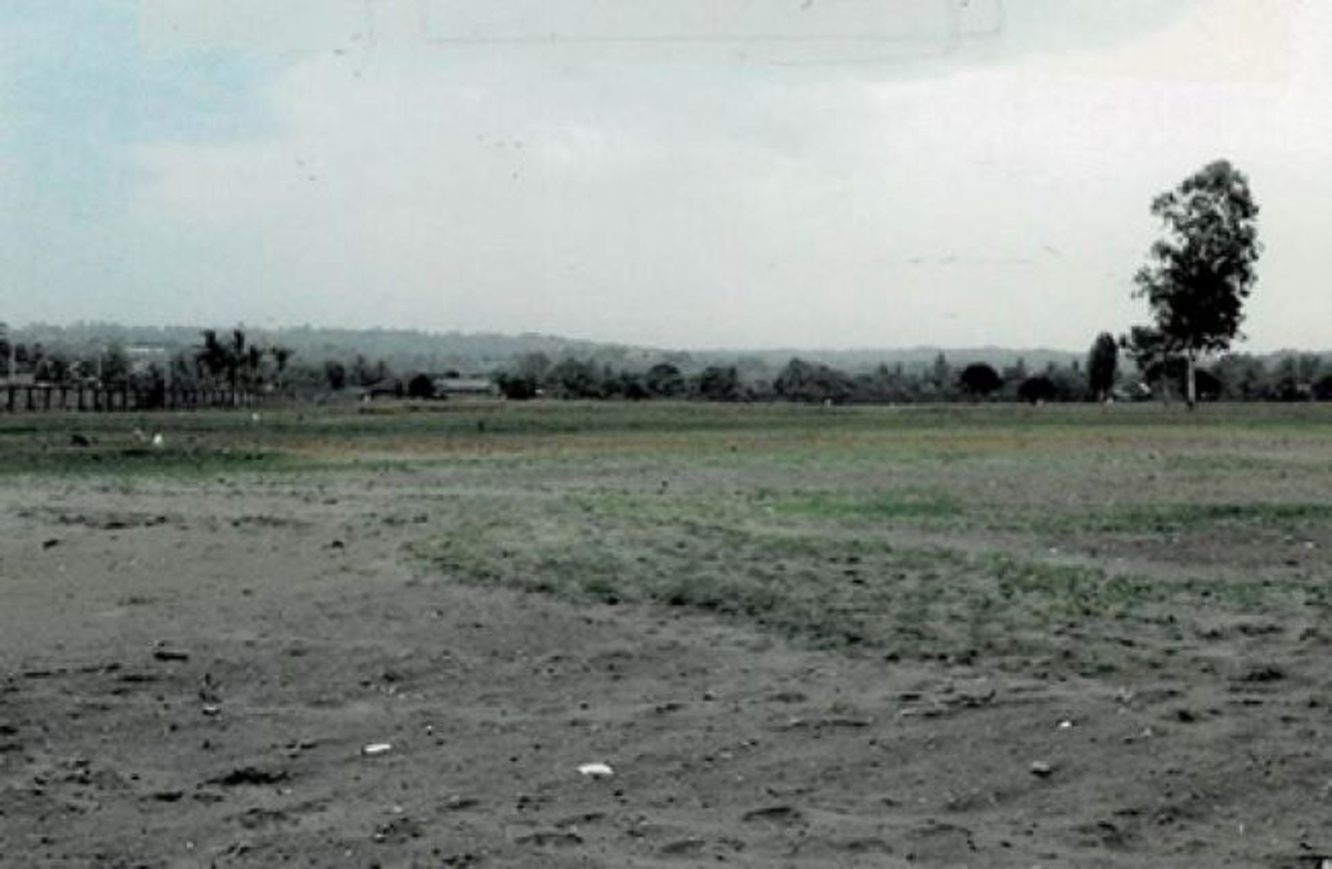 Tierra en San Fabian, Ilocos Region 11154538