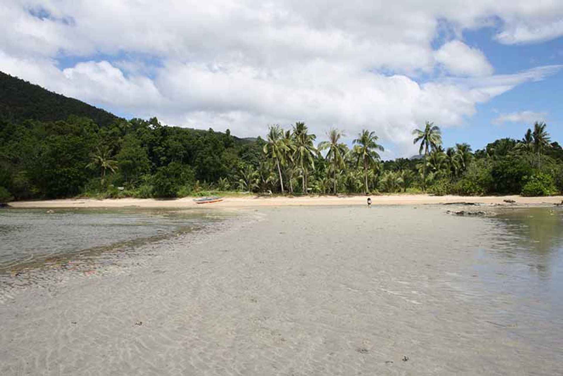 Tierra en San Jose, Puerto Princesa 11154583