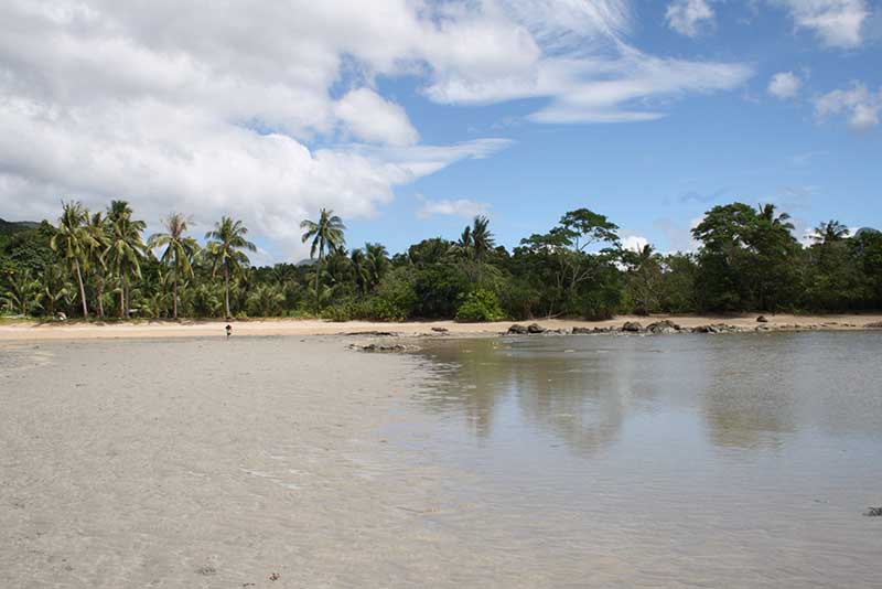 Land im Puerto Princesa, MIMAROPA 11154583