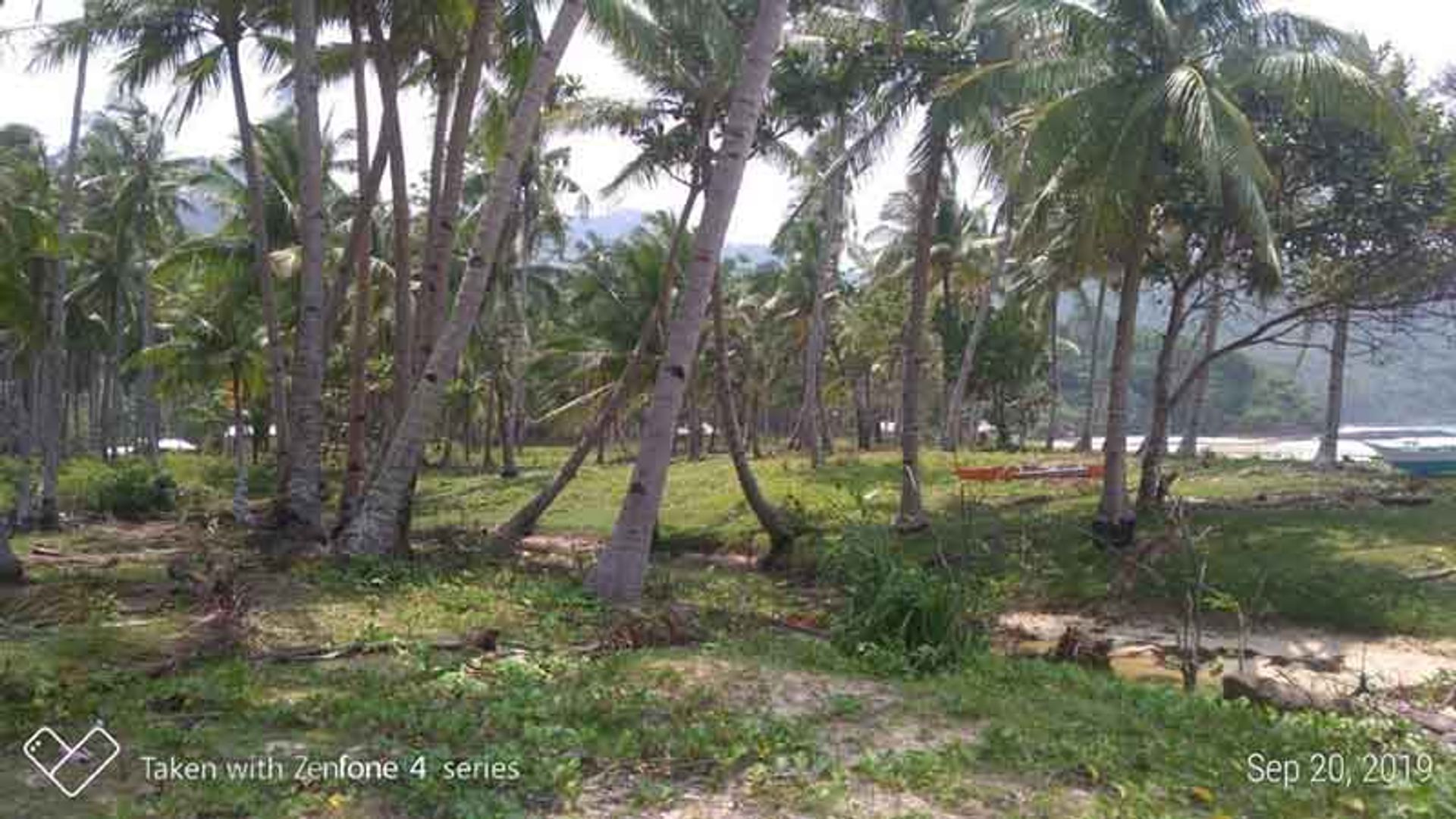 Tanah di El Nido, MIMAROPA 11154790