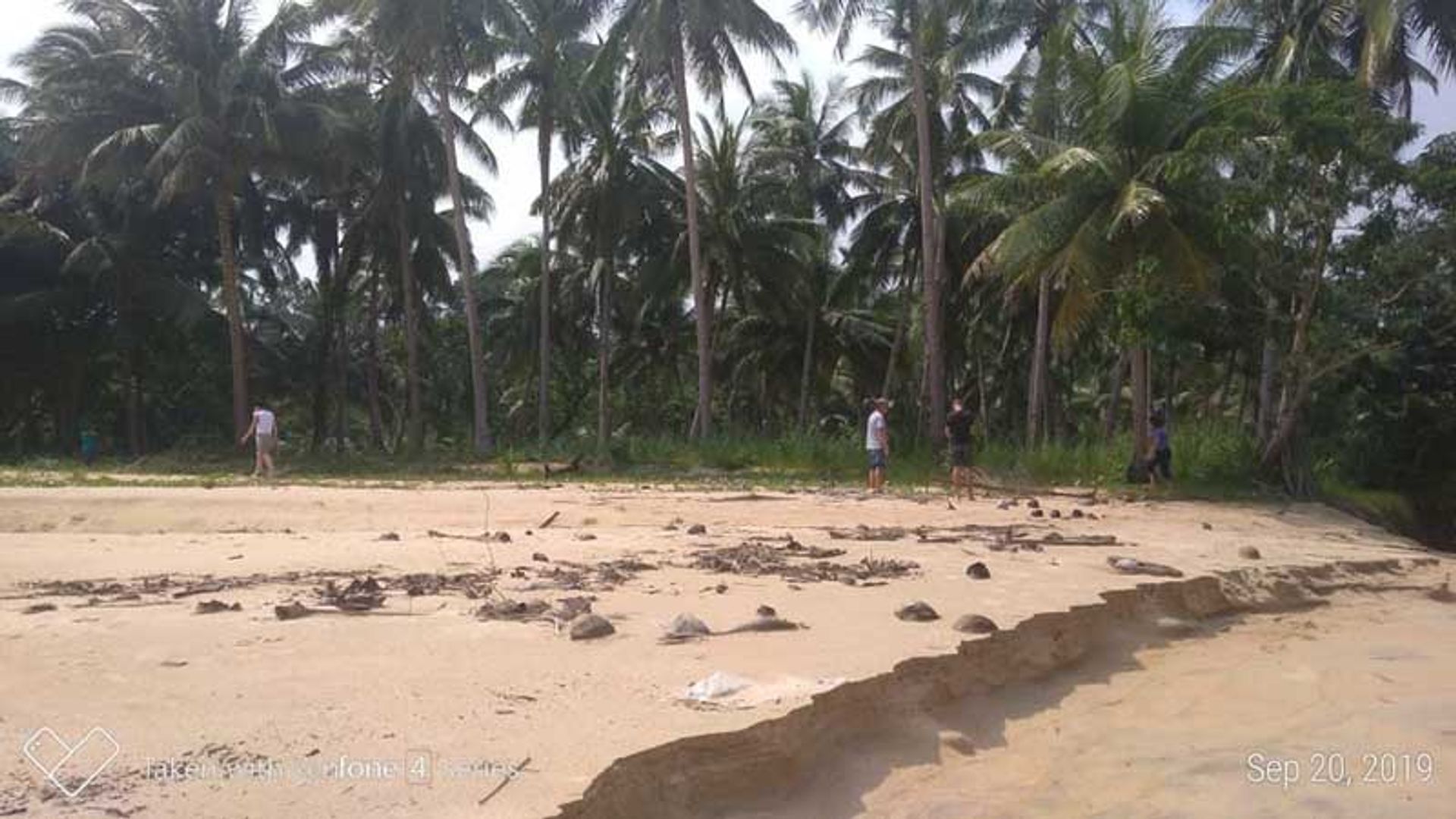 Tanah di El Nido, MIMAROPA 11154790