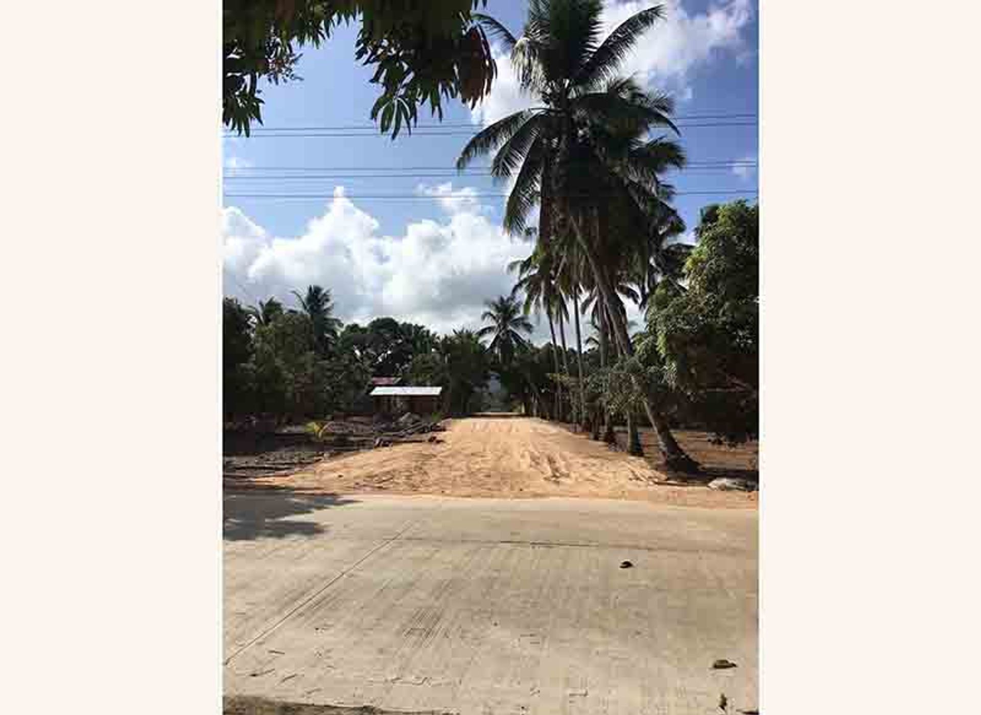 Land in San Vicente, Palawan 11155011