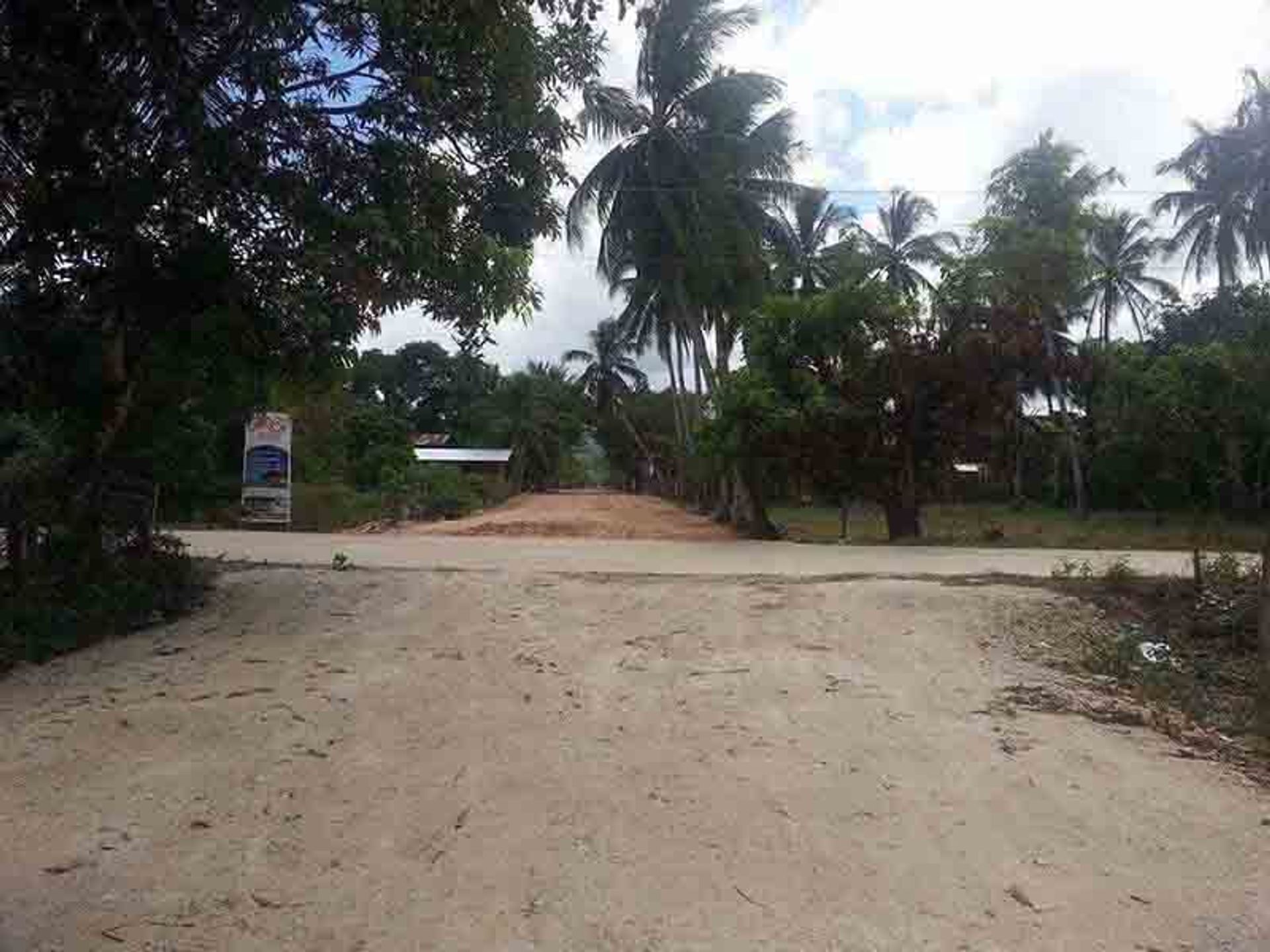 Land in San Vicente, Palawan 11155011