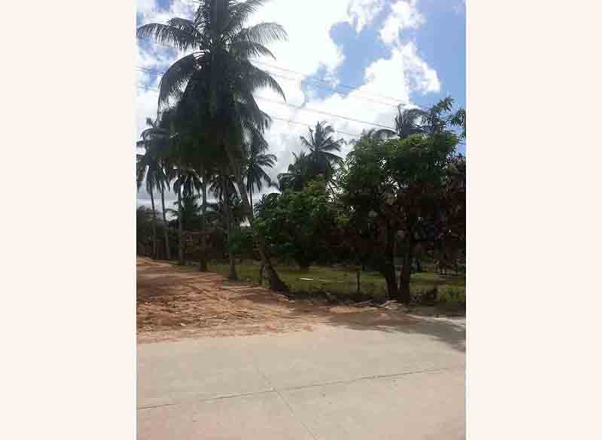 Land in San Vicente, Palawan 11155011