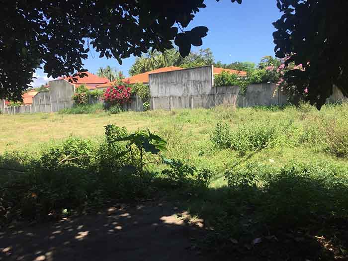 Tanah di Dumaguete, Central Visayas 11155046