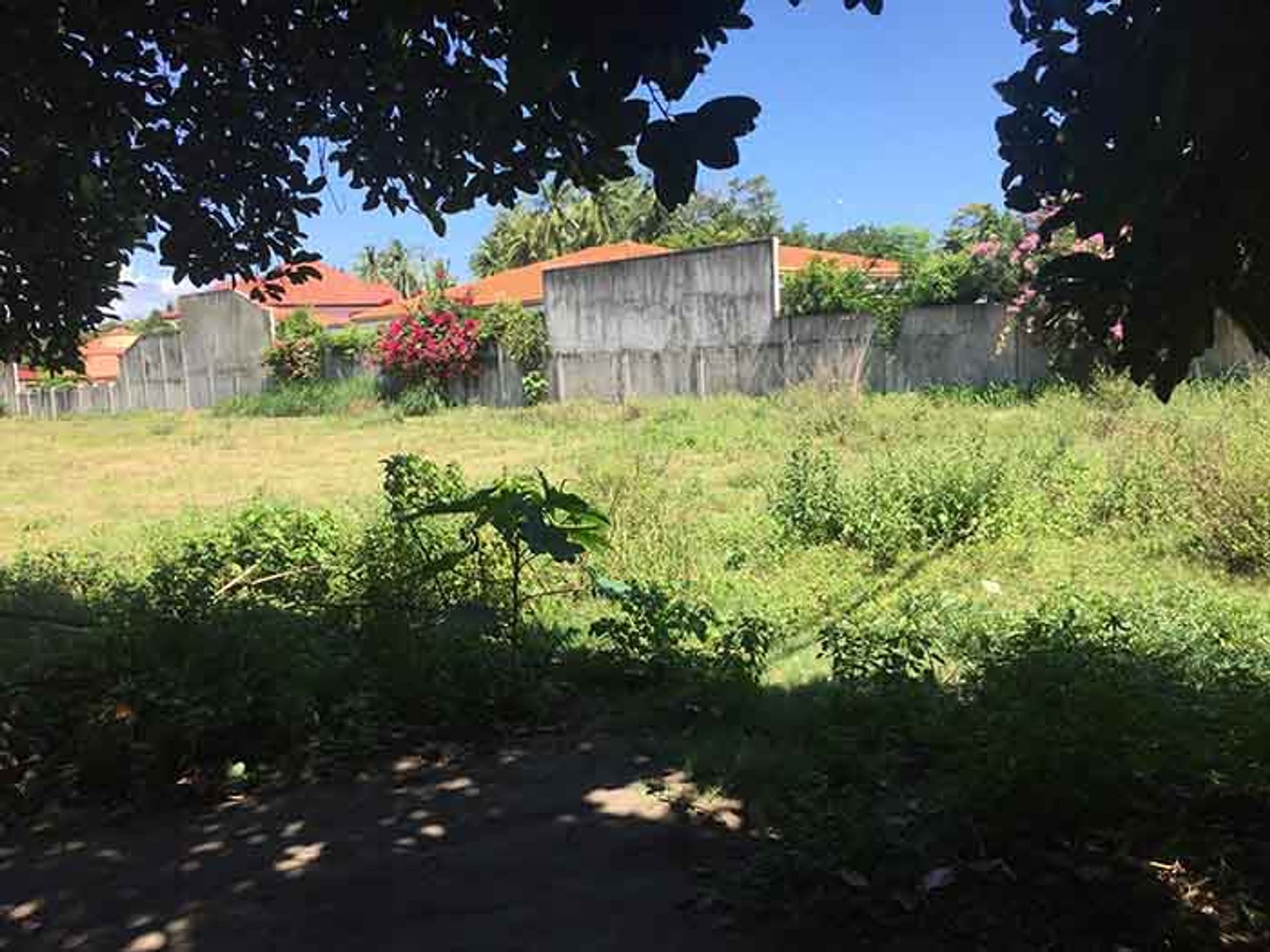 Land in Aato, Negros Oriental 11155046