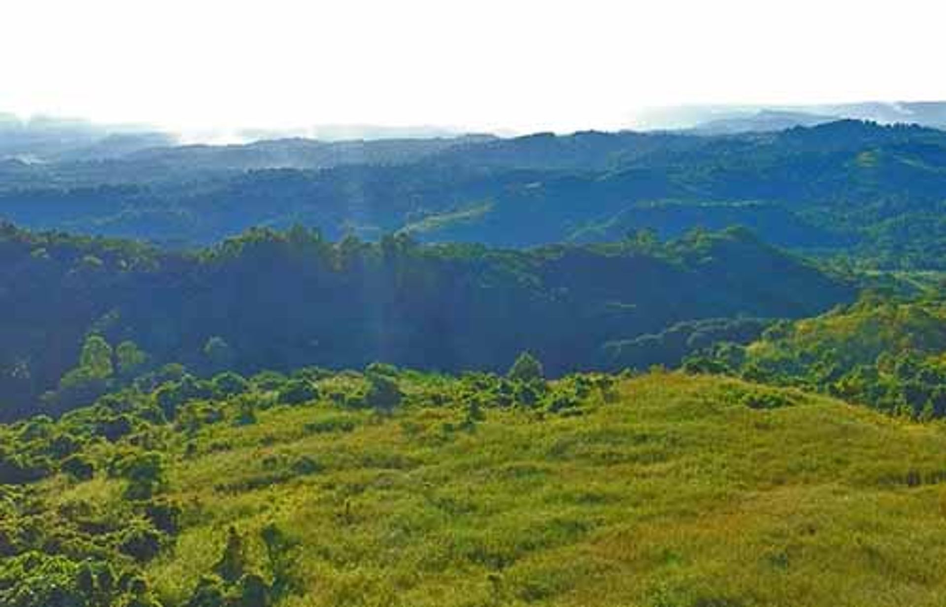 Tanah di Tanay, Calabarzon 11155047