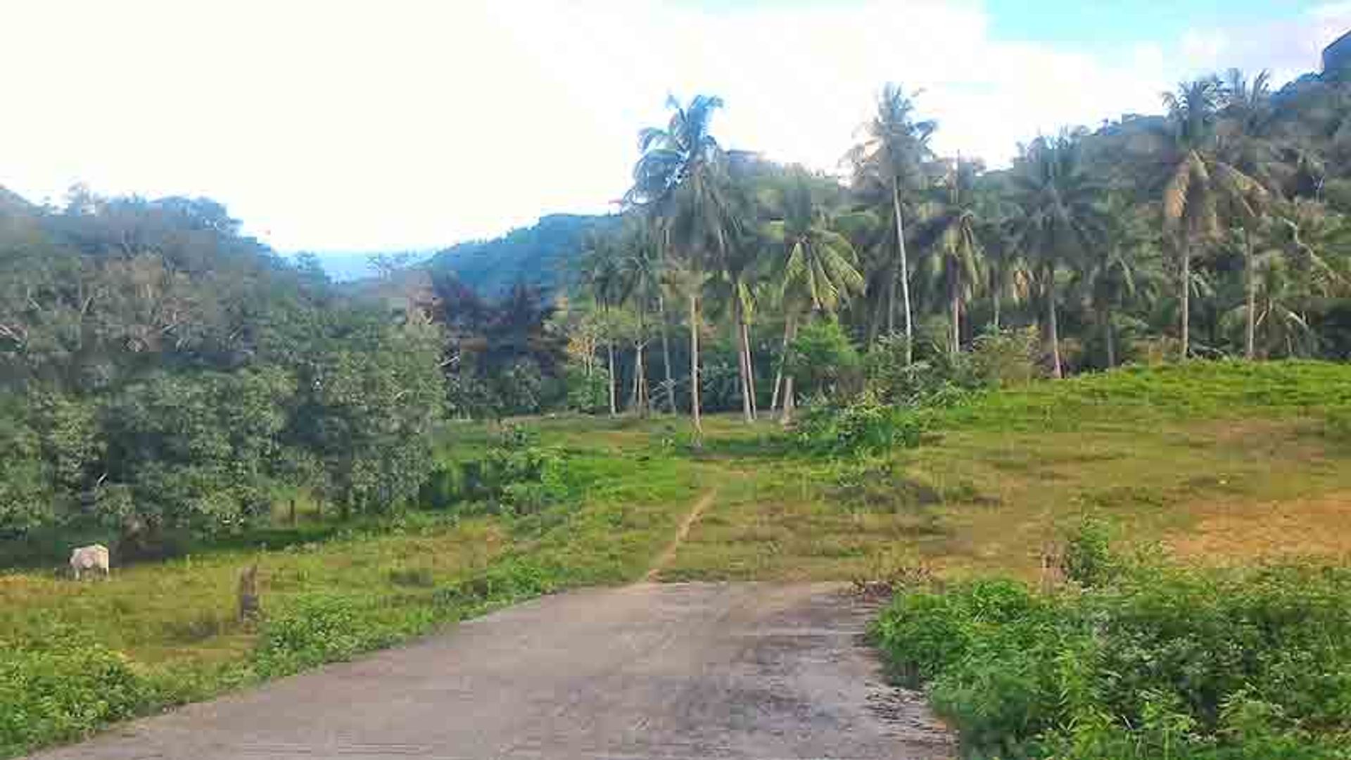 Terra no Cantão-an, Cebu 11155145