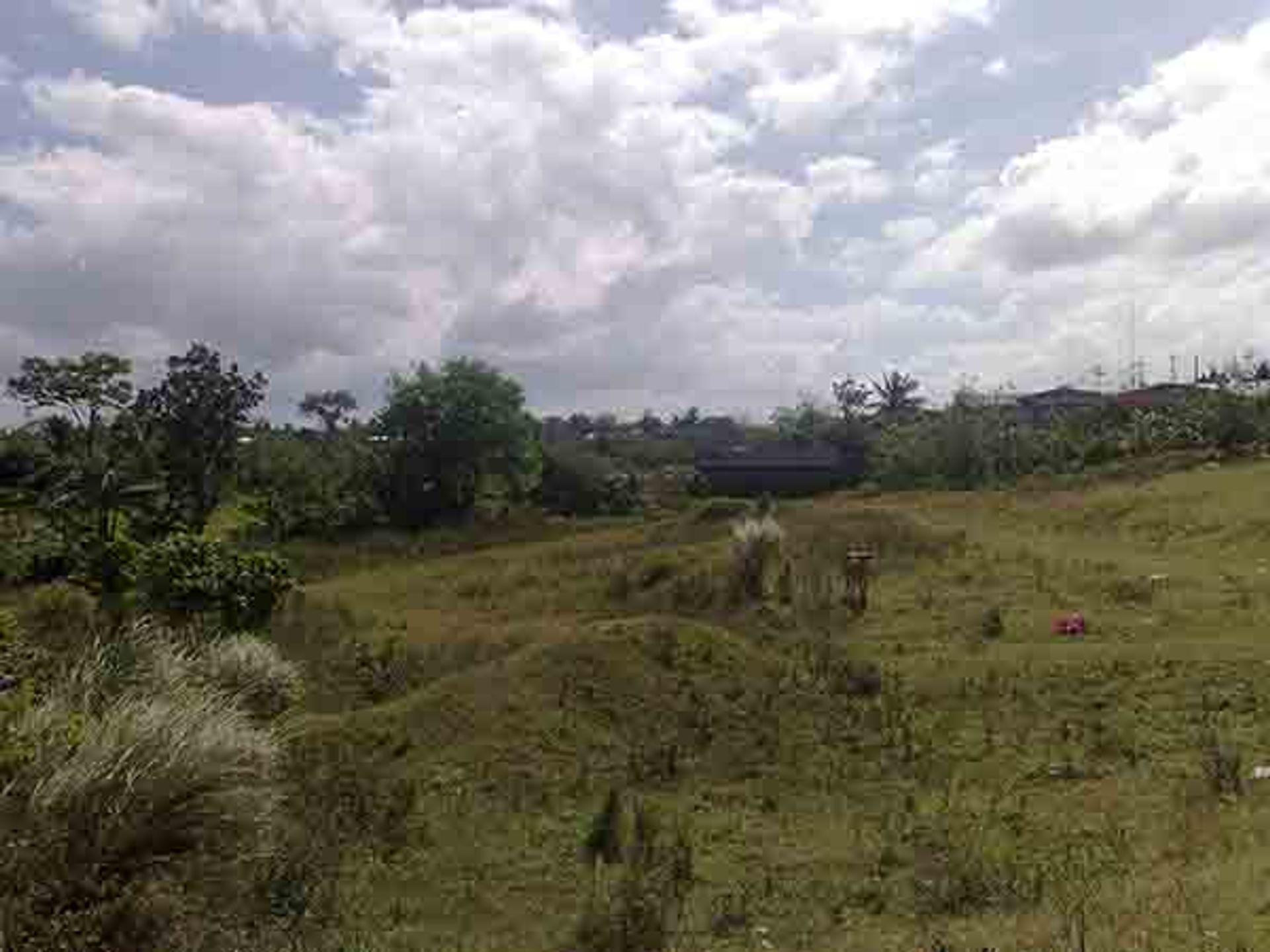 Tierra en Majada Labas, Laguna 11155201