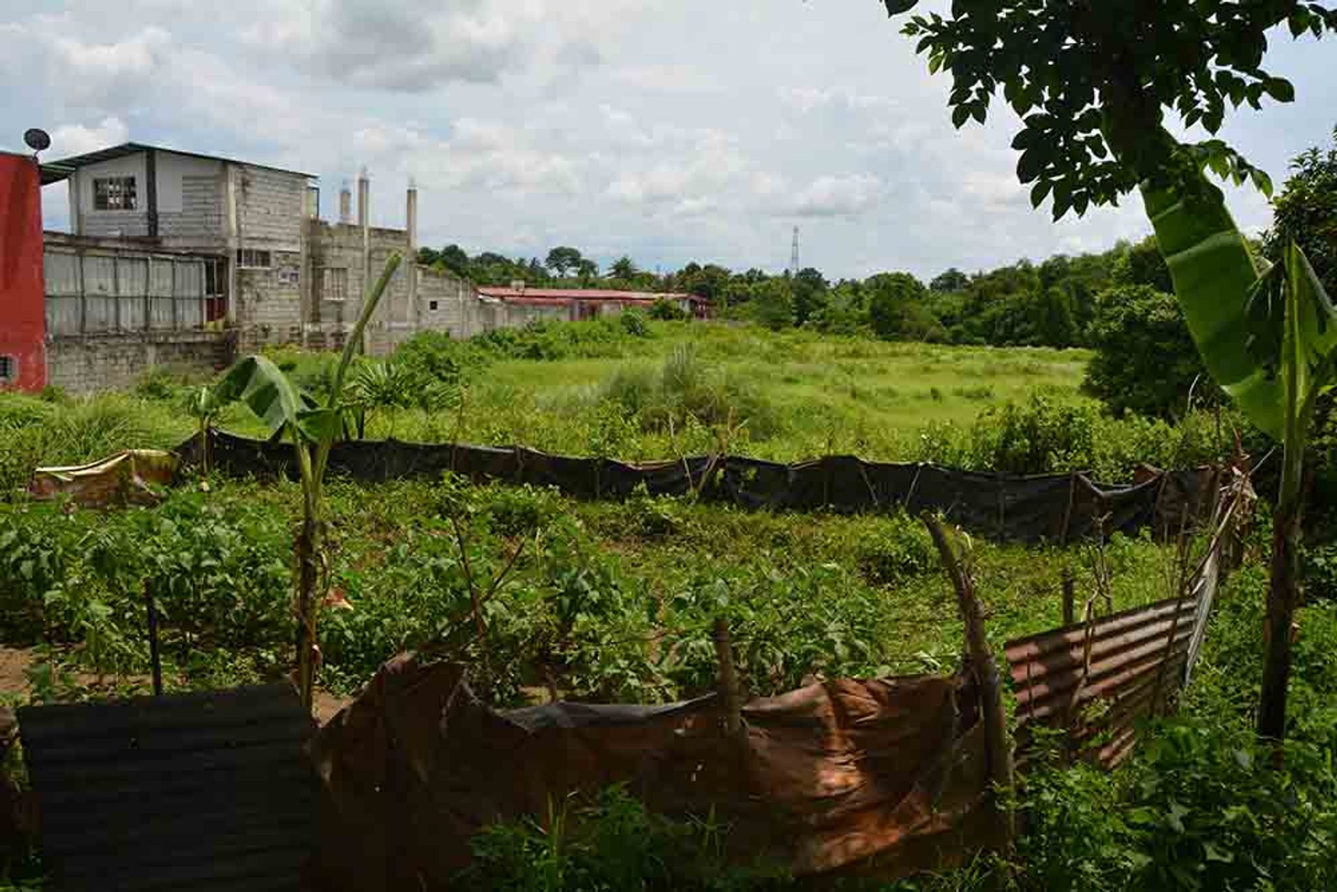 Tanah dalam Embarcadero, Cavite 11155277